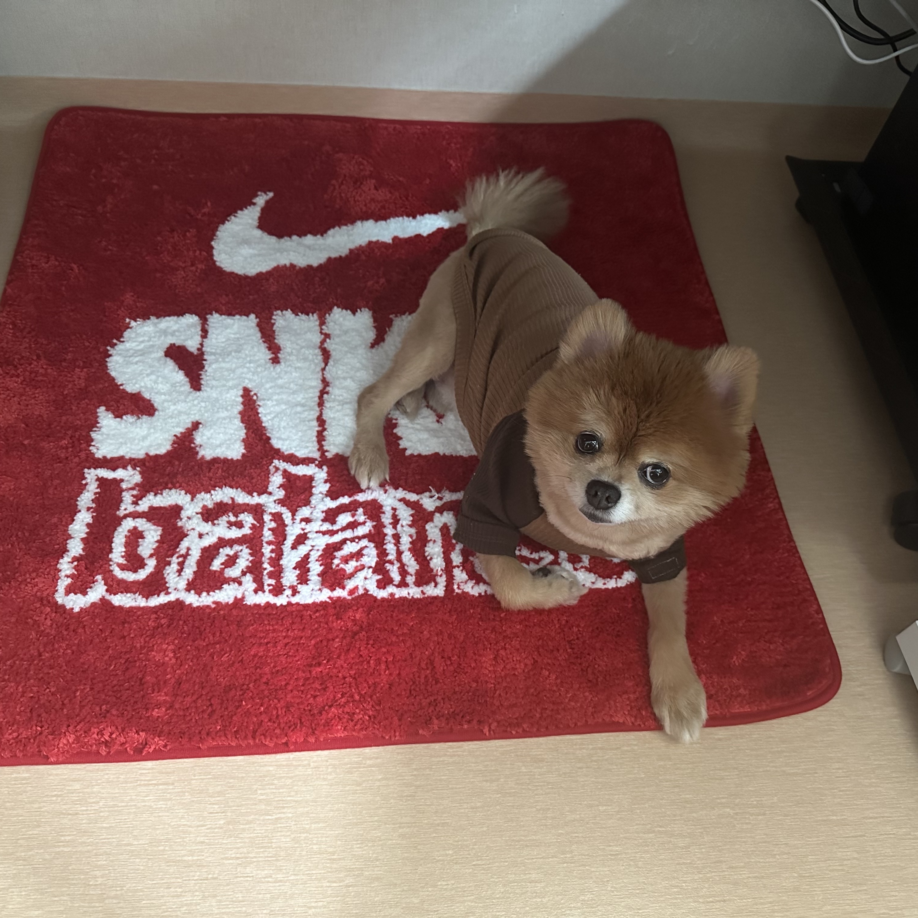 Nike x Balansa SNKRS Rug Mat Red 착용 스타일