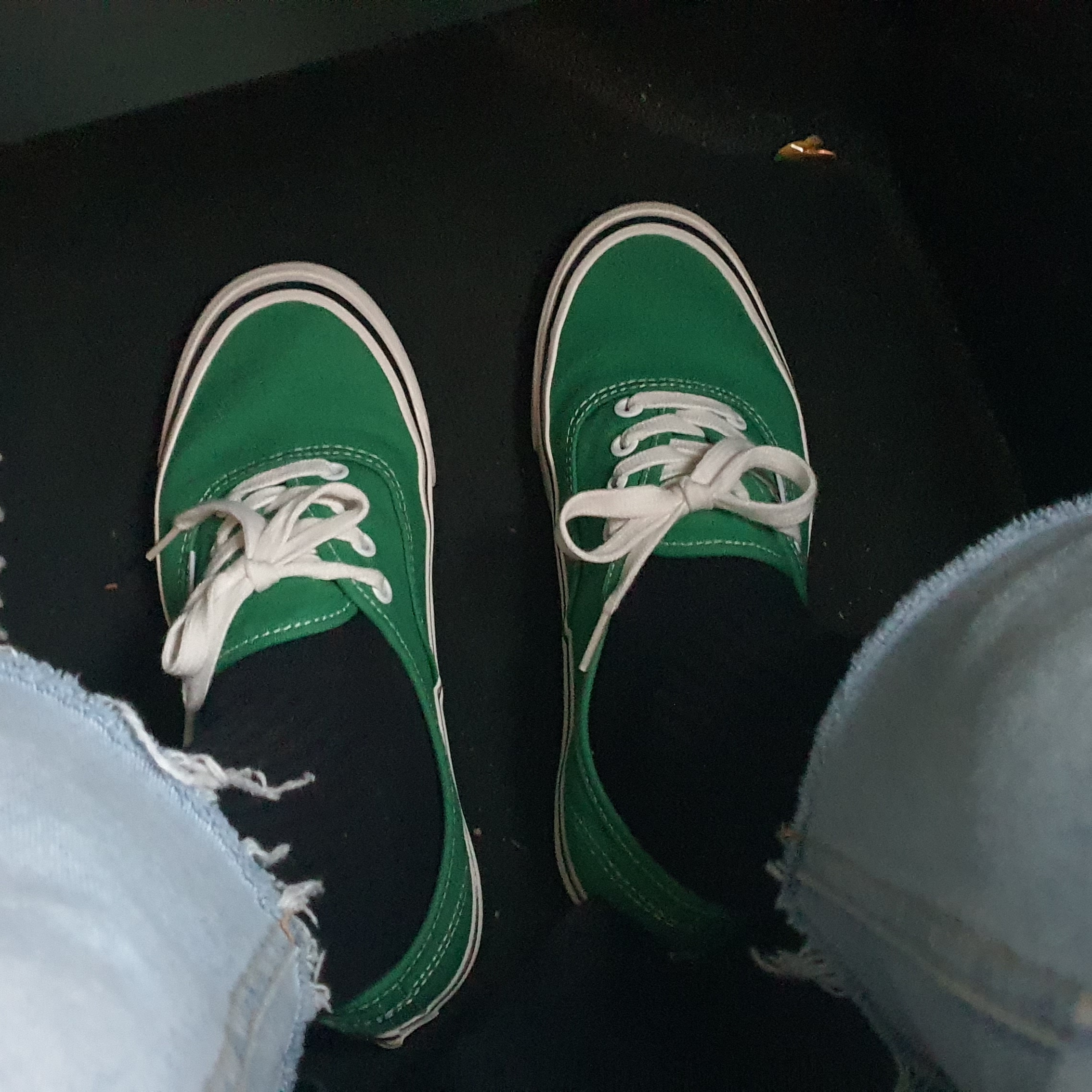 Vans Authentic 44 DX Anaheim Factory Emerald Green 착용 스타일