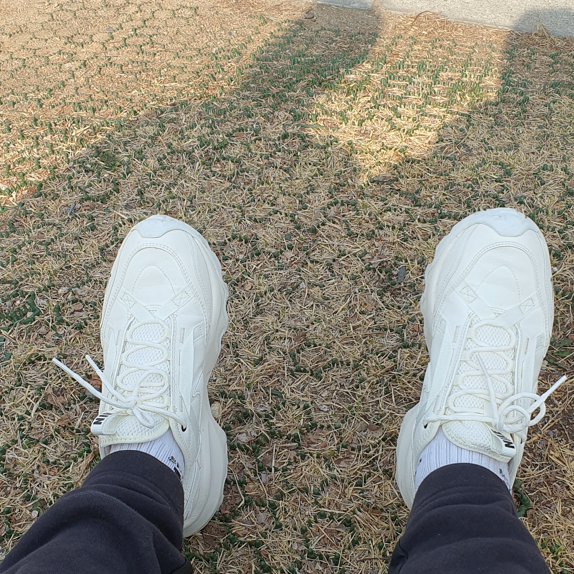 (W) Nike TC 7900 Summit White 착용 스타일