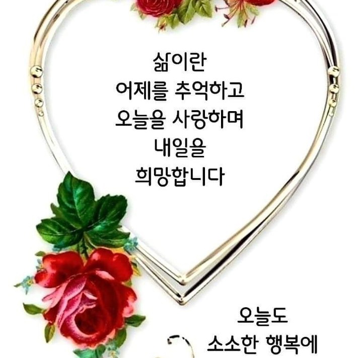 jonggil3101님의 스타일