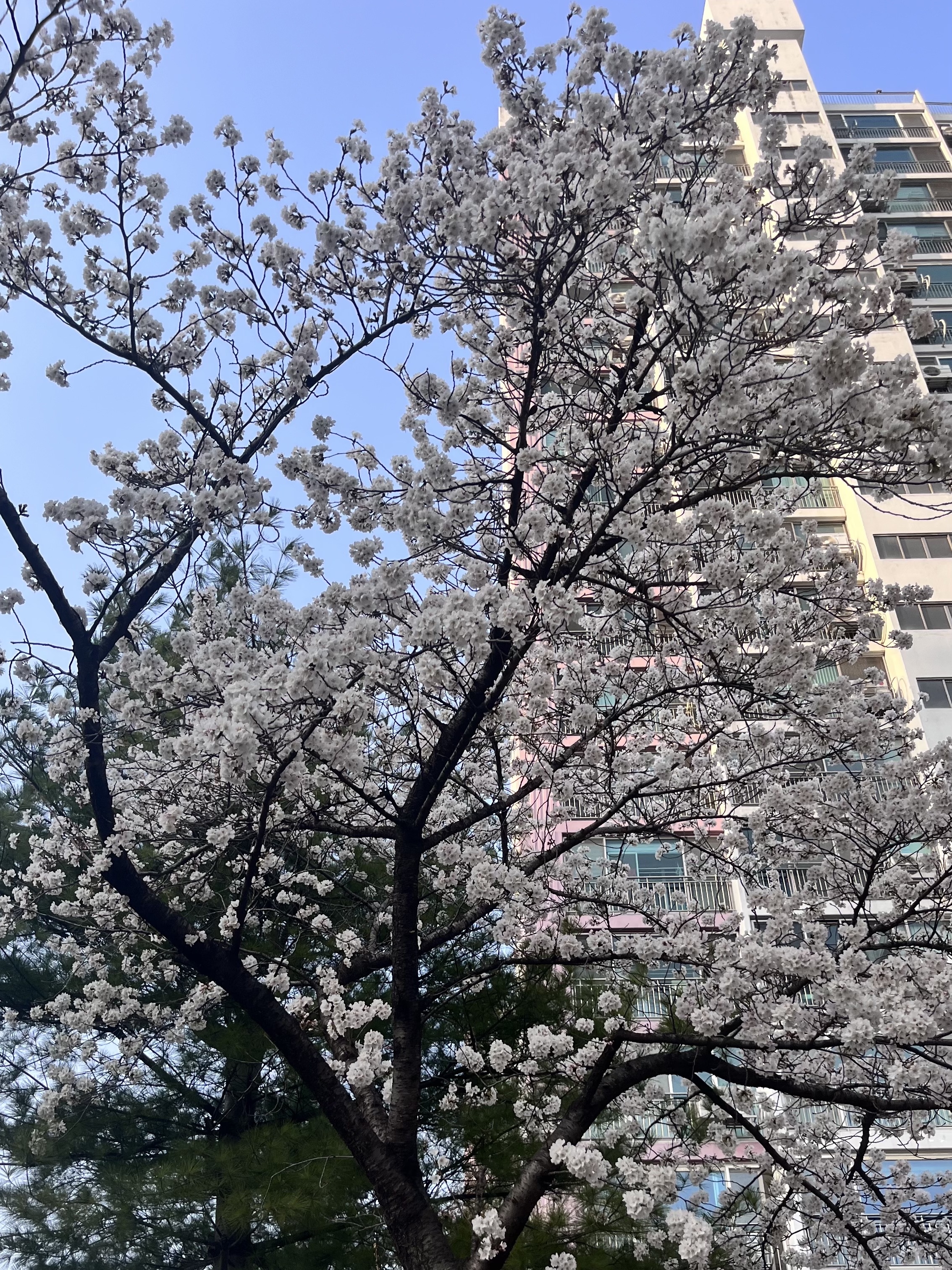 jack_roans님의 스타일 - 2