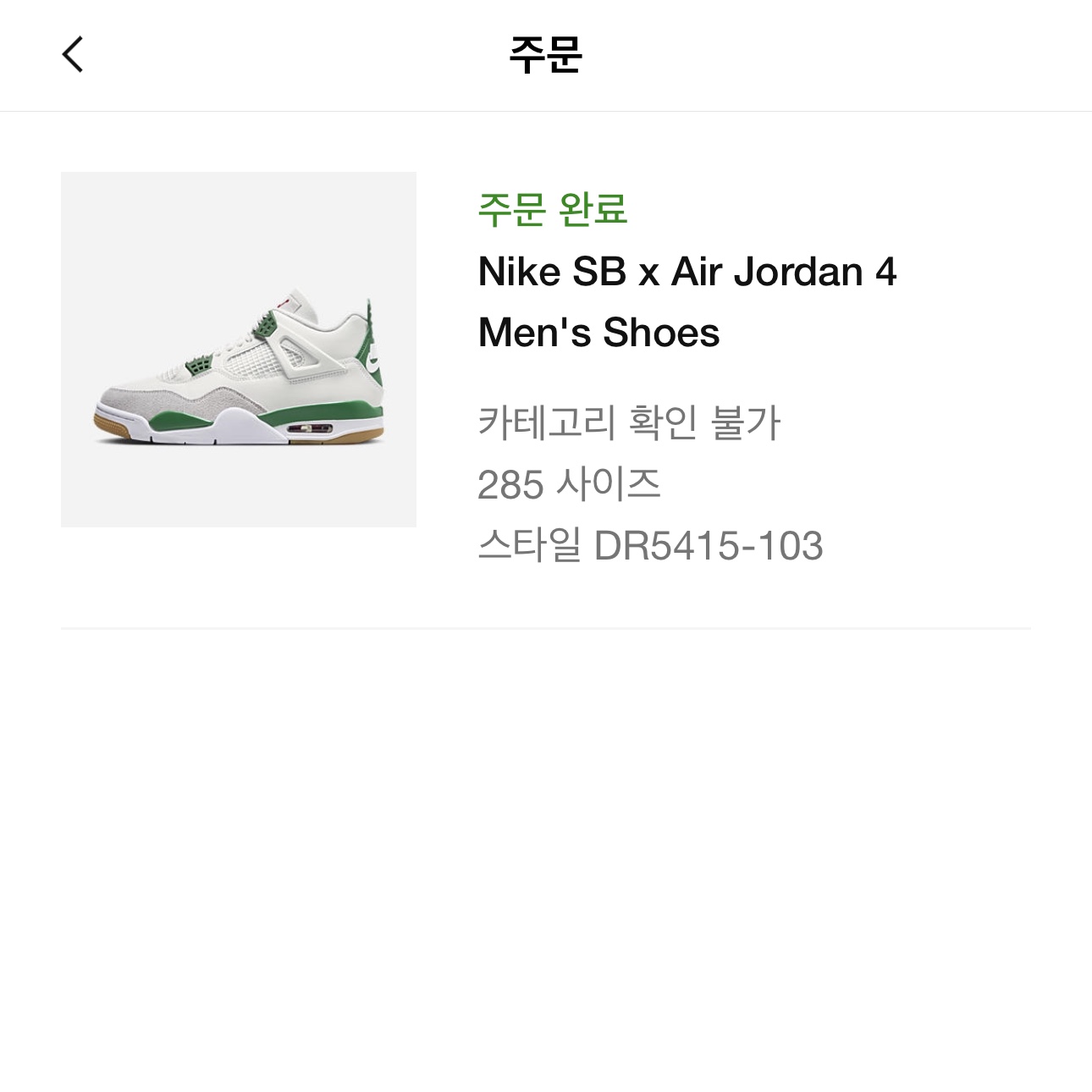 Jordan 4 x Nike SB Retro SP Pine Green 착용 스타일