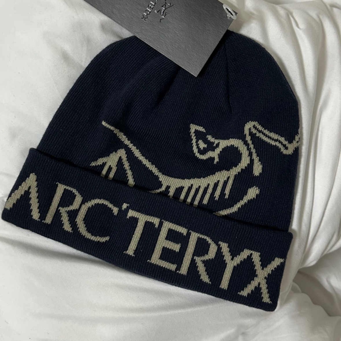 Arc'teryx Bird Word Toque Black Sapphire 착용 스타일