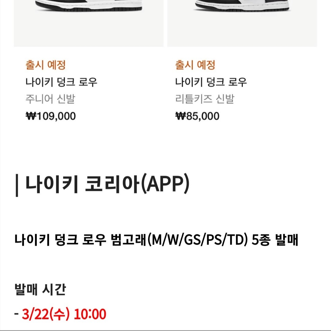 Jordan 1 High 85 Black White 착용 스타일