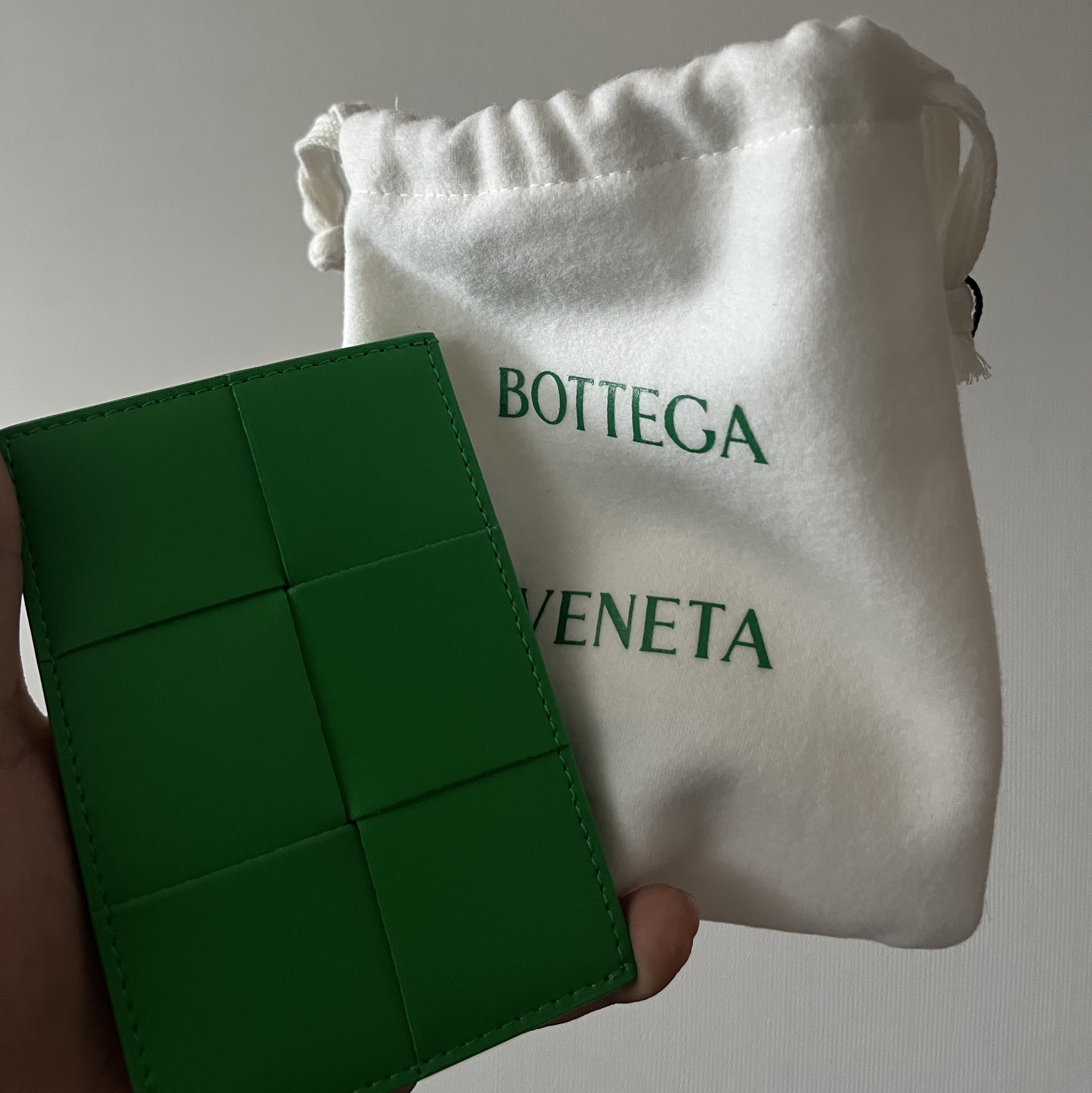 Bottega Veneta Credit Card Case Calfskin Parakeet 착용 스타일