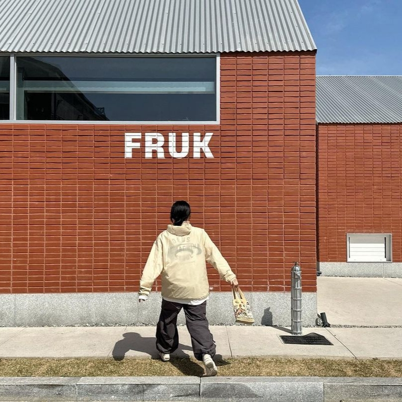 Art Of Field Back Printed Packable Jacket Light Yellow 착용 스타일 - 3