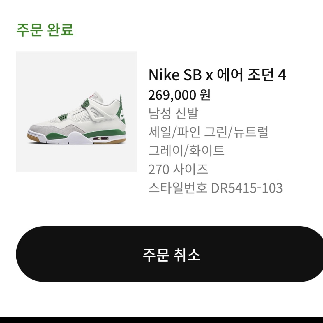 Jordan 4 x Nike SB Retro SP Pine Green 착용 스타일