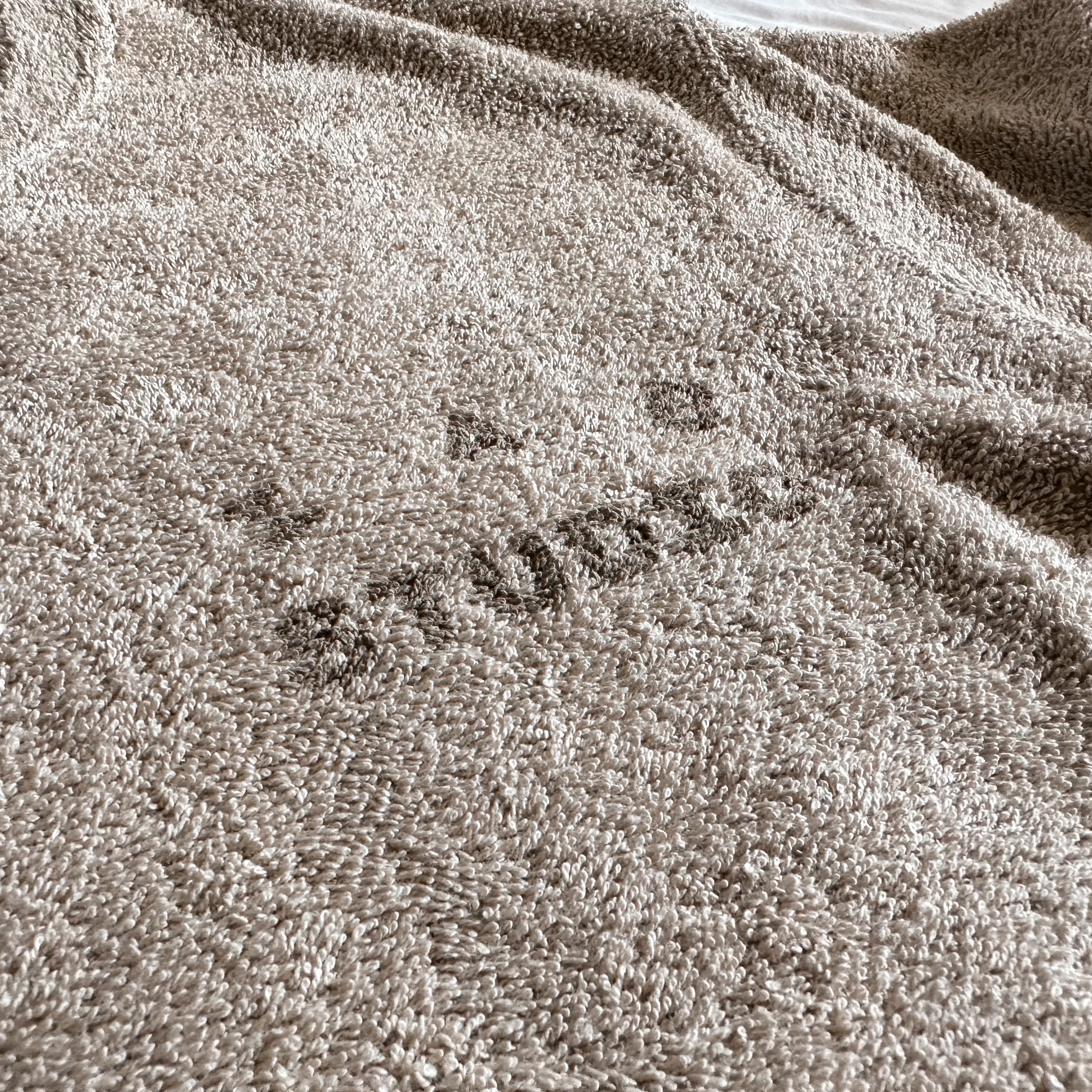 IAB Studio Towel T-Shirt Light Green, IAB Studio Towel T-Shirt Deep Green 착용 스타일 - 3