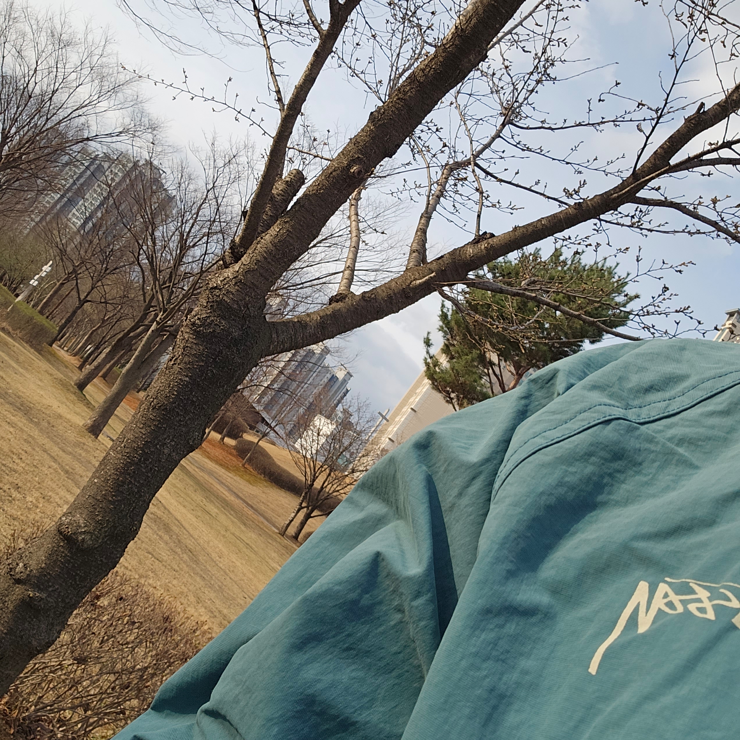 Stussy Wave Dye Beach Shell Jacket Atlantic 착용 스타일