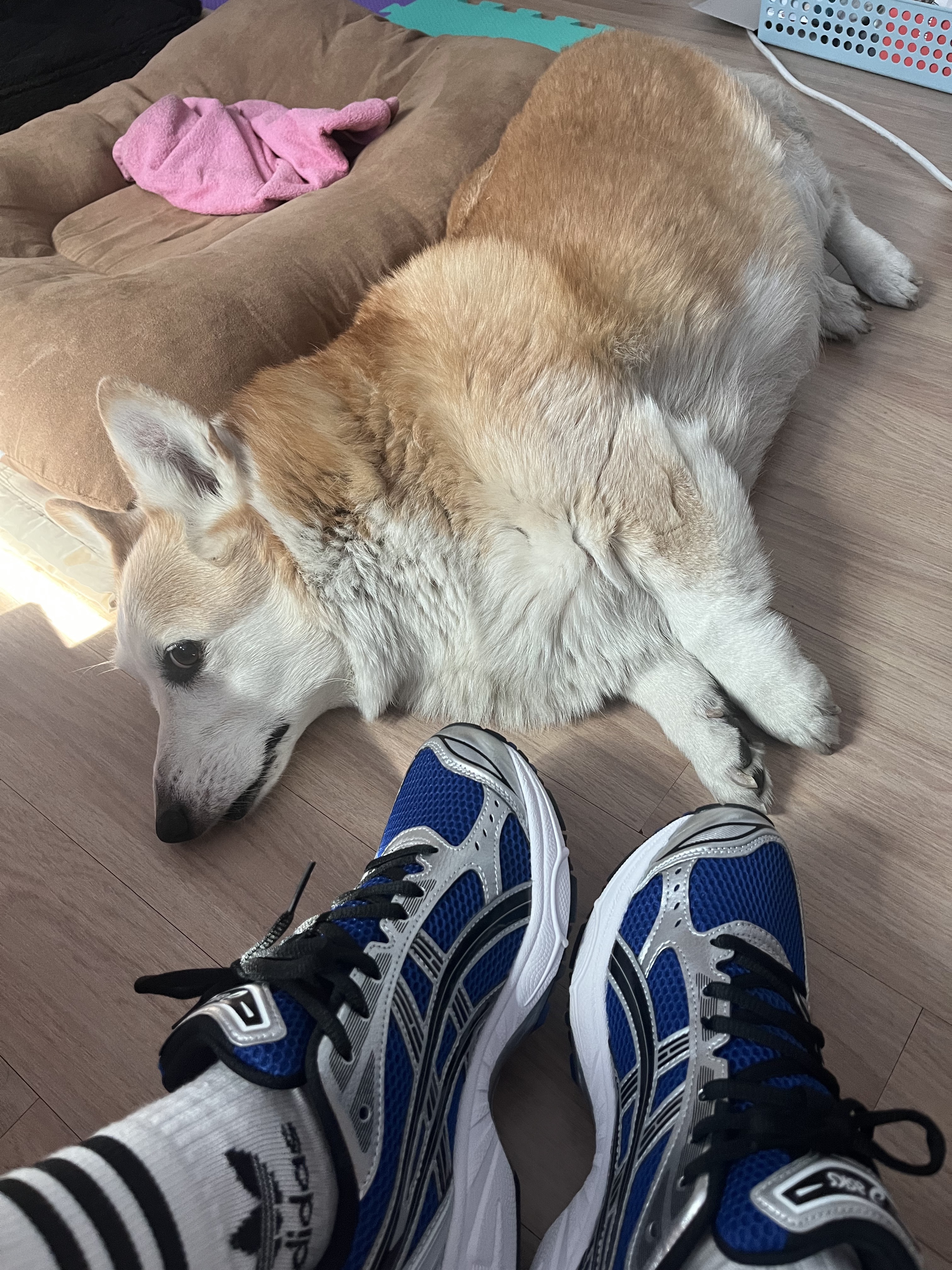 Asics Gel-Kayano 14 Monaco Blue Black 착용 스타일