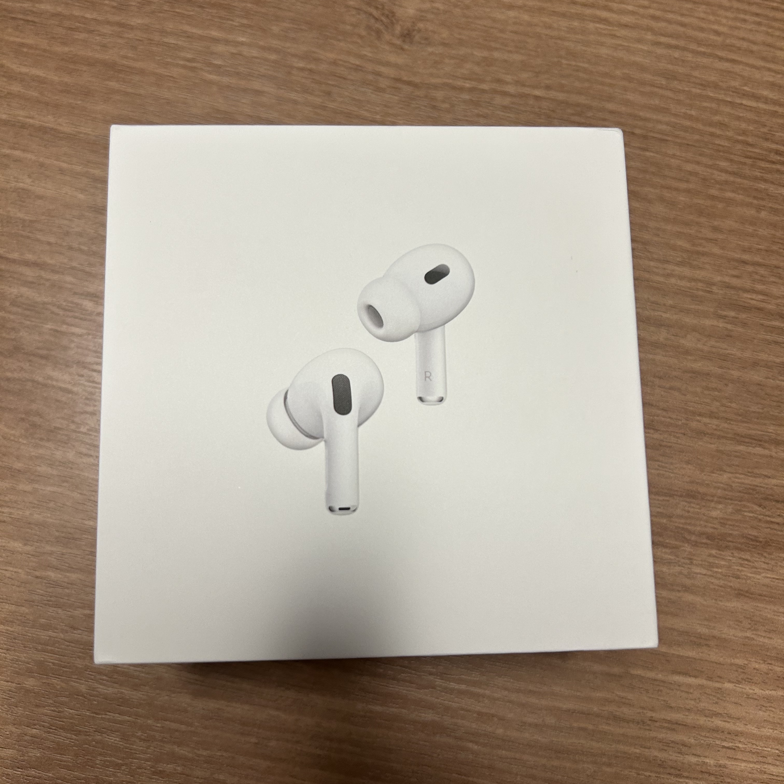 Apple AirPods Pro 2nd Gen (Korean Ver.) 착용 스타일