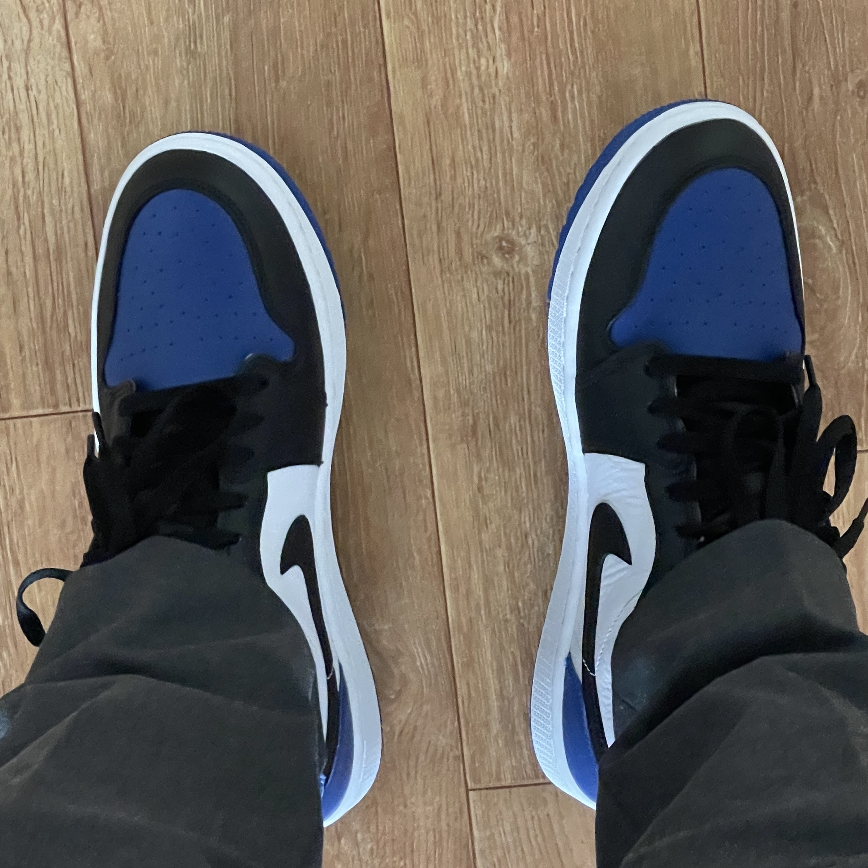 Jordan 1 Low Golf Sport Royal 착용 스타일
