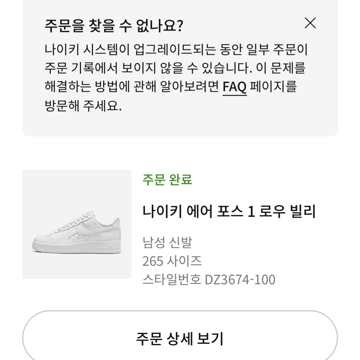 Nike x Billie Eilish Air Force 1 Low SP Triple White 착용 스타일