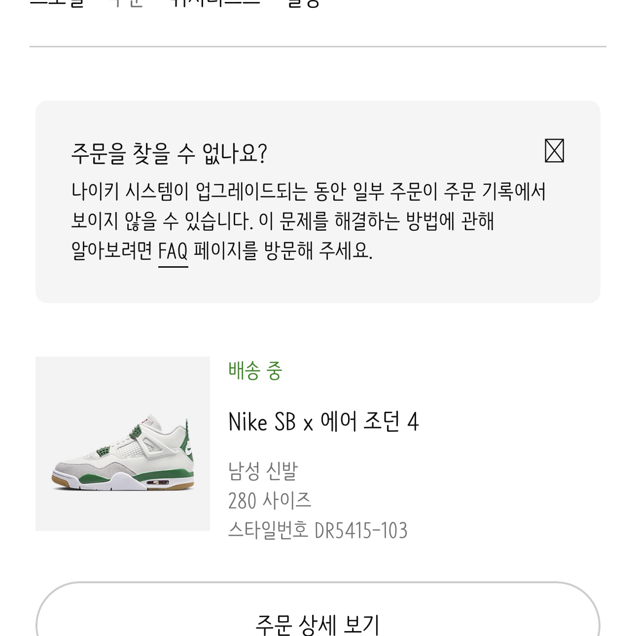 Jordan 4 x Nike SB Retro SP Pine Green 착용 스타일