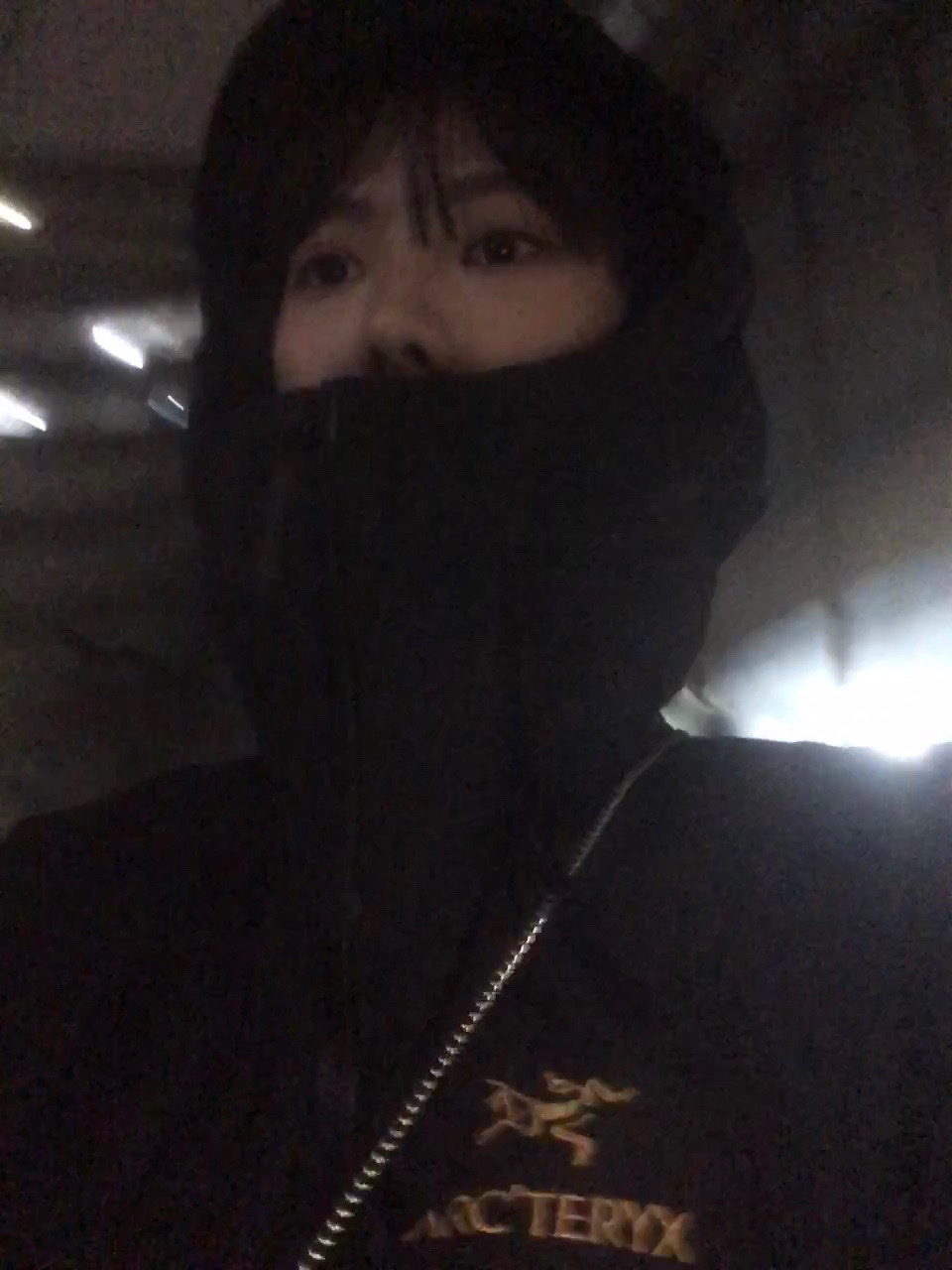 Arc'teryx Alpha SV Jacket 24K Black 착용 스타일