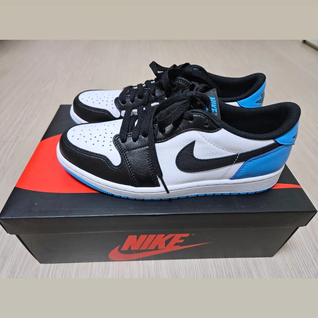 Jordan 1 Retro Low OG Black and Dark Powder Blue 착용 스타일