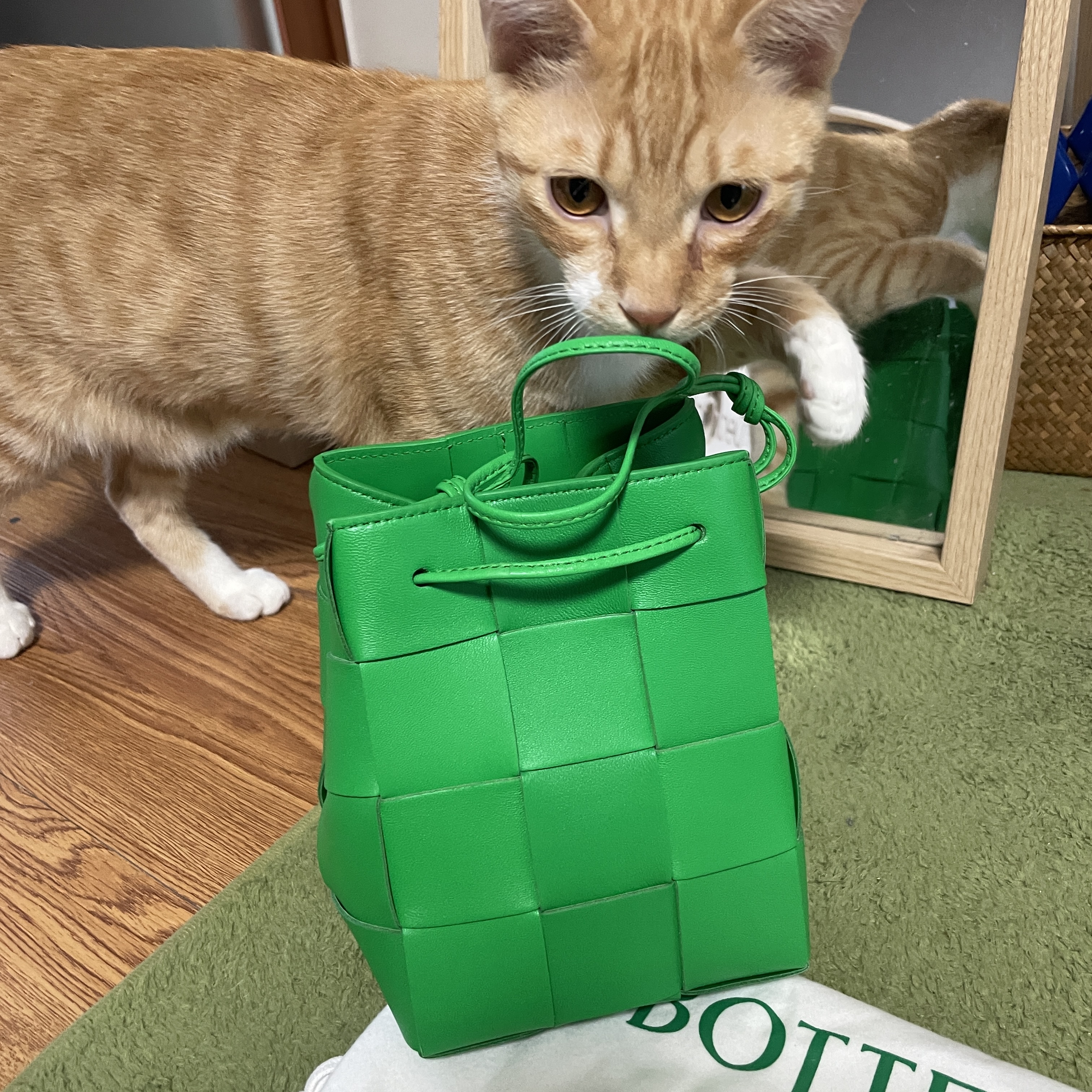 Bottega Veneta Small Leather Cassette Bucket Bag Parakeet 착용 스타일 - 1