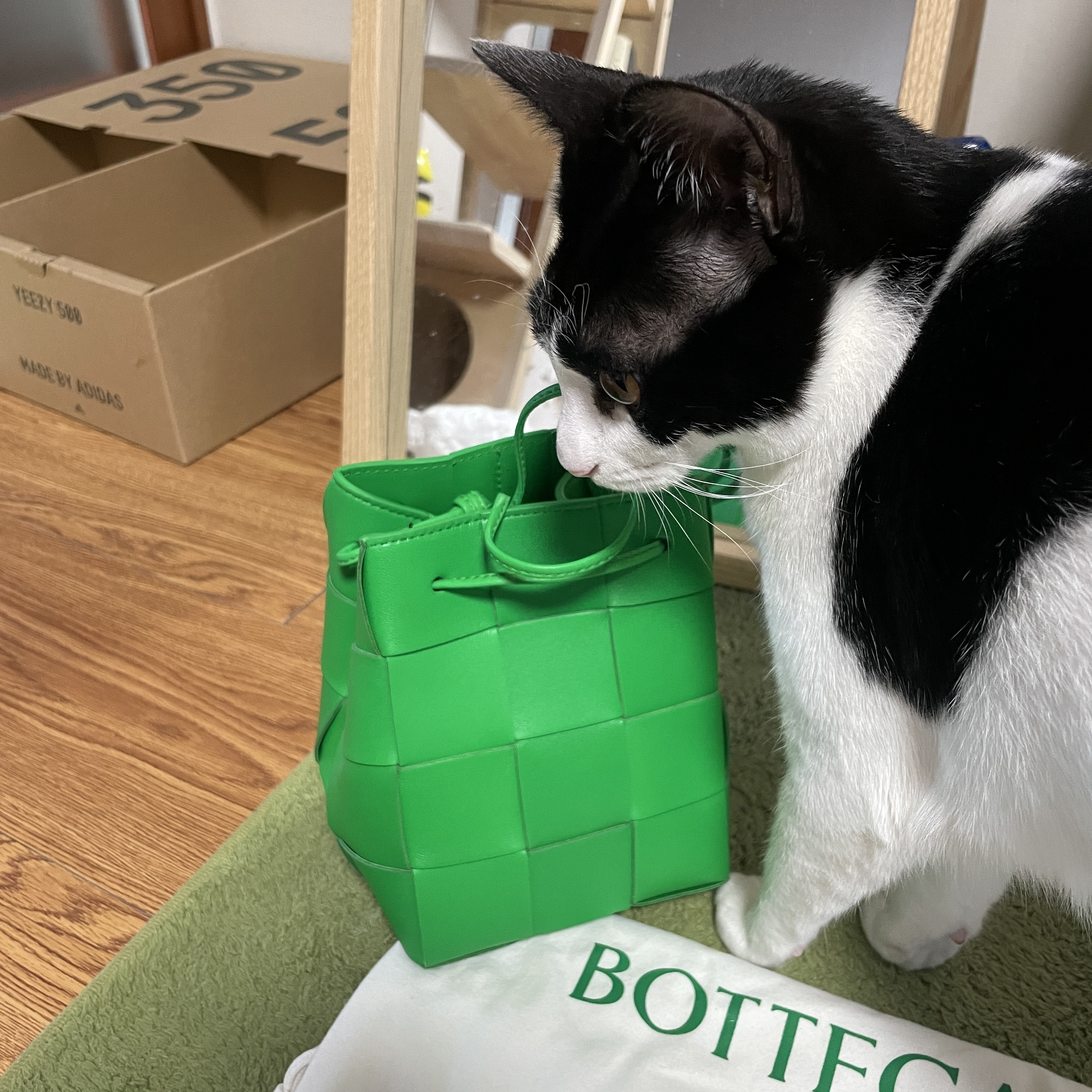 Bottega Veneta Small Leather Cassette Bucket Bag Parakeet 착용 스타일 - 2