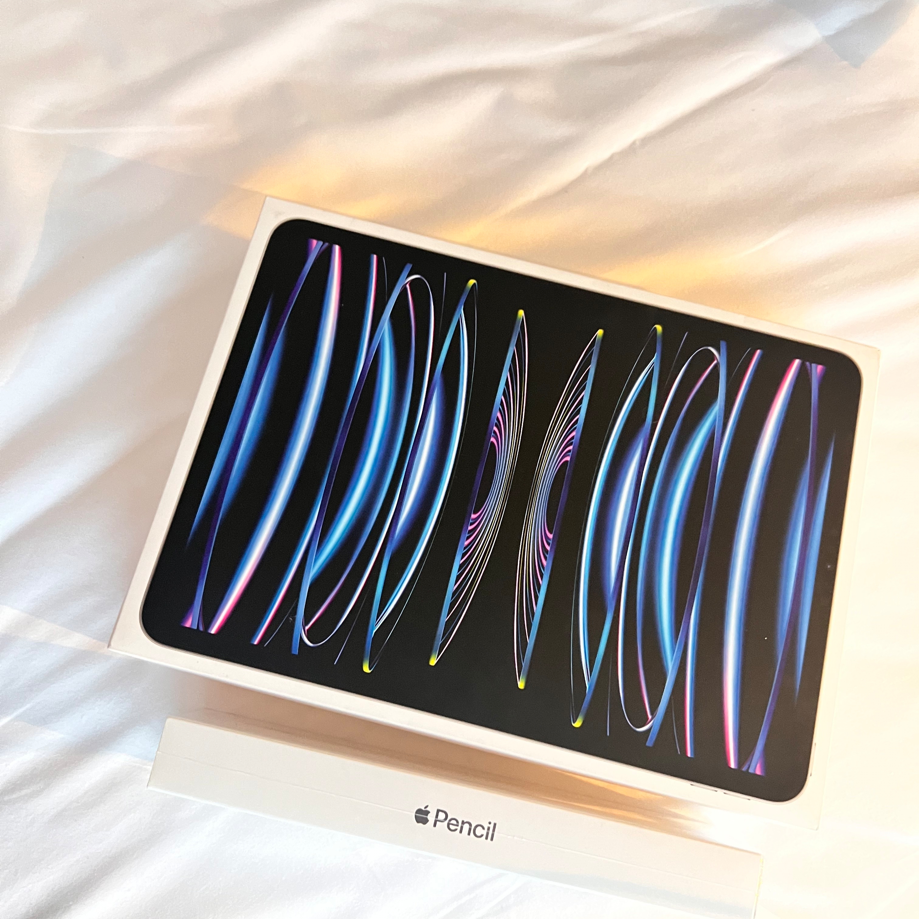 Apple iPad Pro 4th Gen 11-inch Wifi 128GB Silver (Korean Ver.) 착용 스타일 - 1