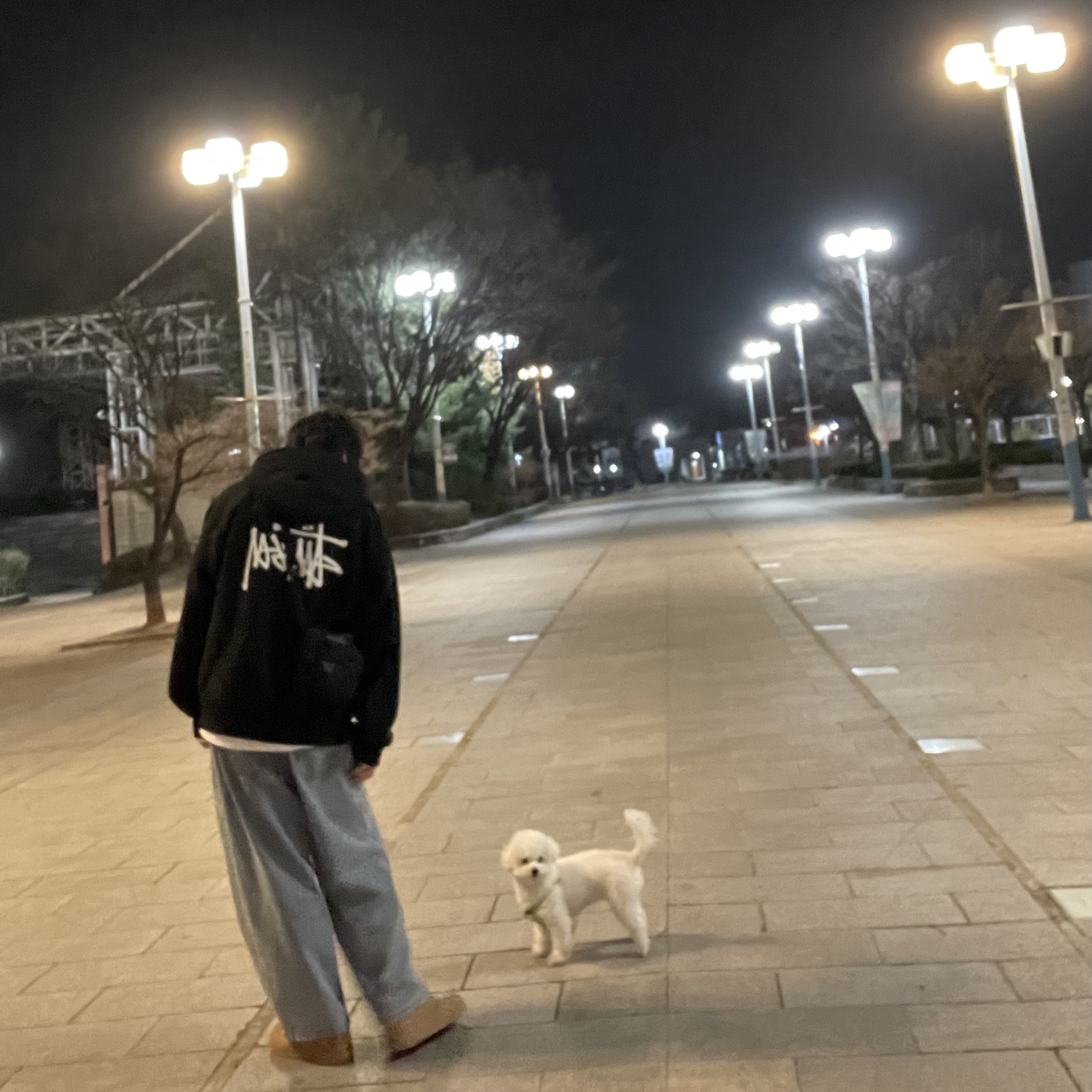 Stussy Basic Stussy Zip Hoodie Black 2023, Arc'teryx Mantis 2 Waistpack Black 착용 스타일