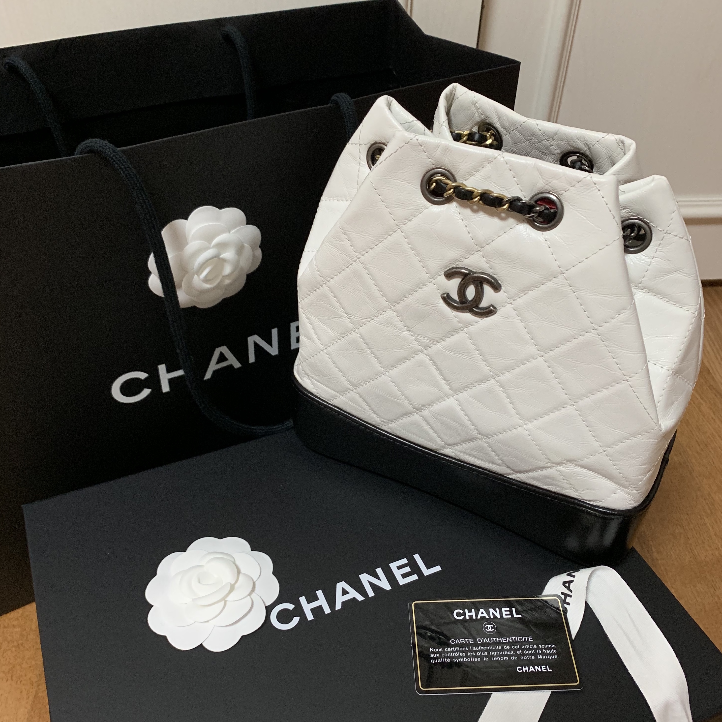 Chanel Small Gabrielle Backpack Aged Calfskin & Gold Silver White Black 착용 스타일