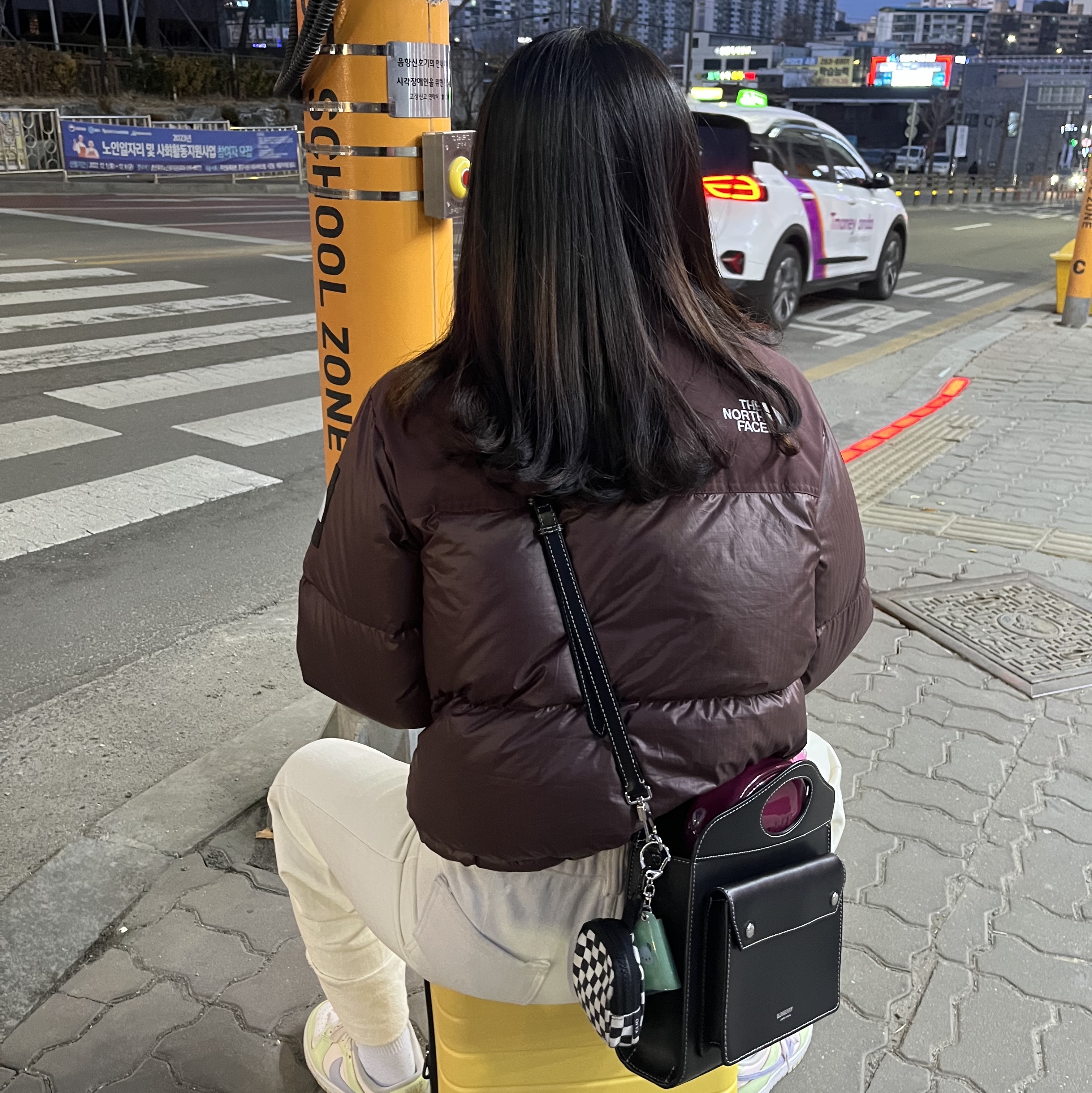(W) The North Face White Label Novelty Nuptse Down Jacket Cocoa Brown, (W) Nike Dunk Low Light Soft Pink 착용 스타일