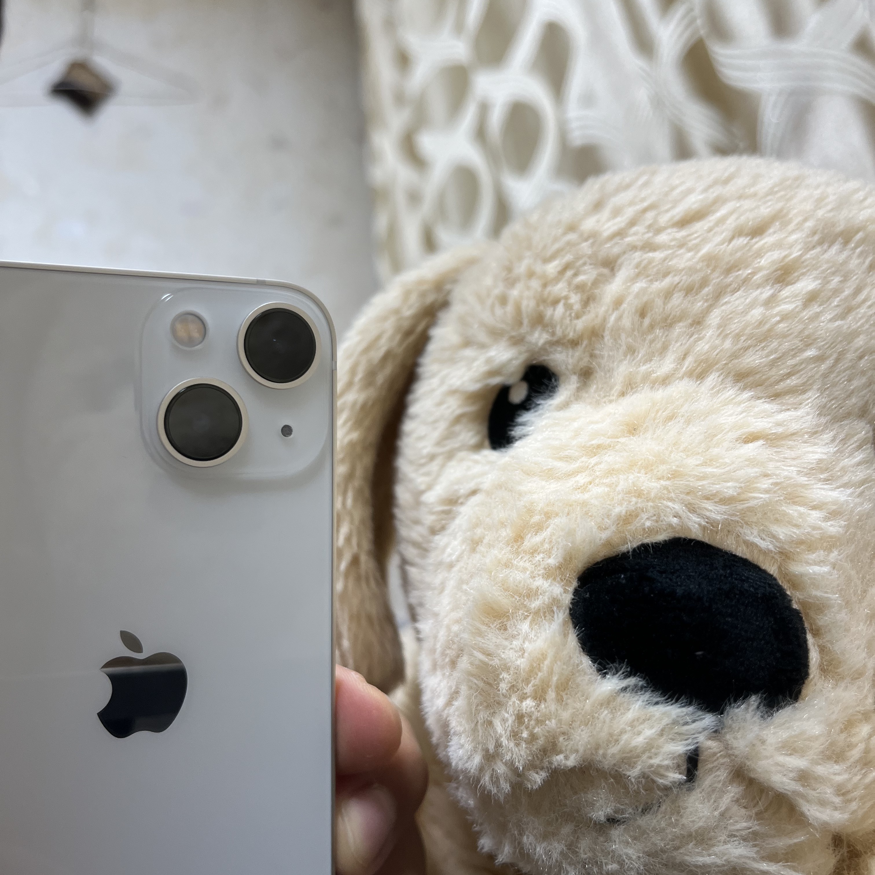 Apple iPhone 13 Mini 128GB Starlight (Korean Ver.) 착용 스타일