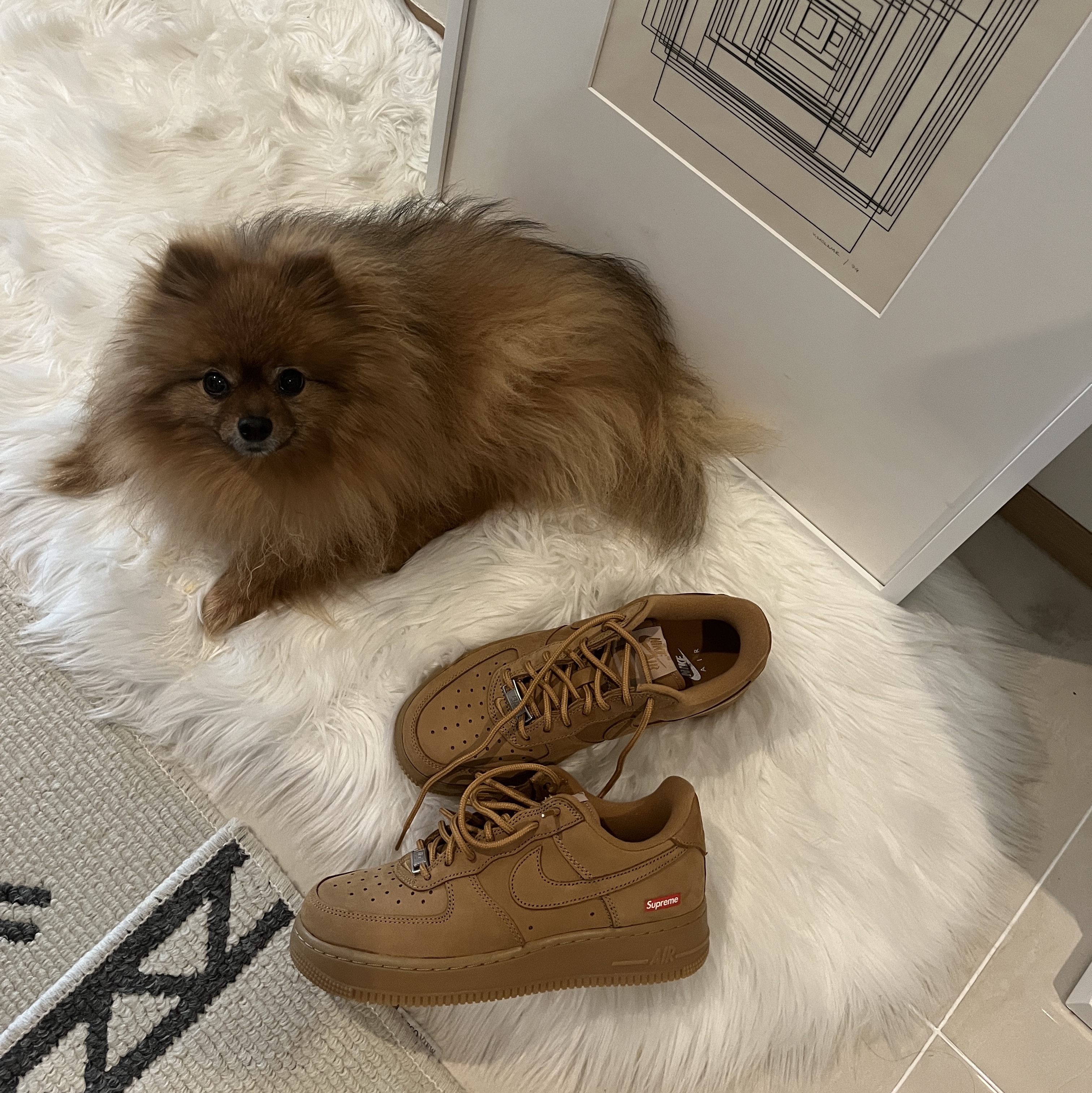 Nike x Supreme Air Force 1 Low Flax 착용 스타일