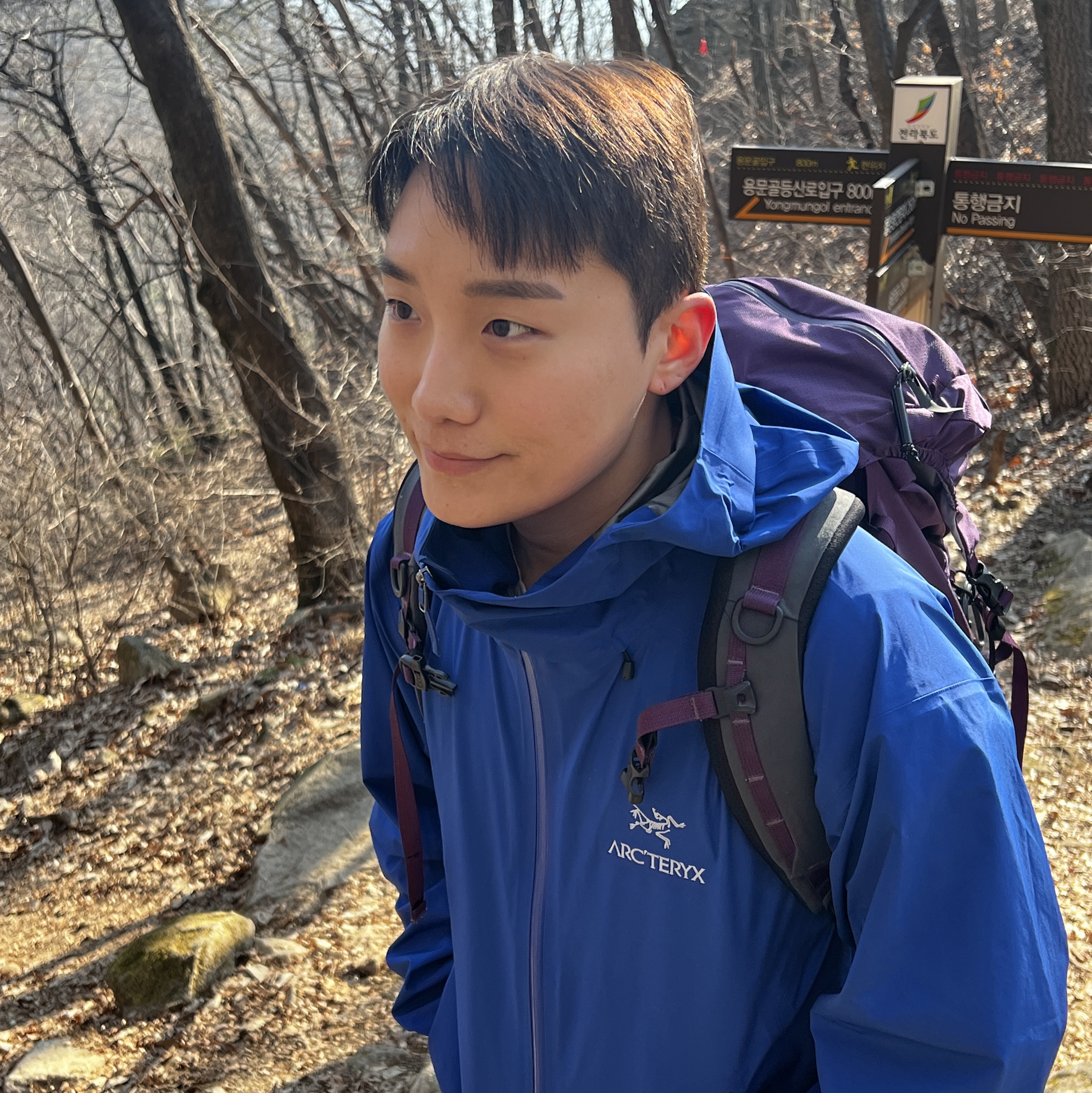 Arc'teryx Beta LT Jacket Vitality 착용 스타일