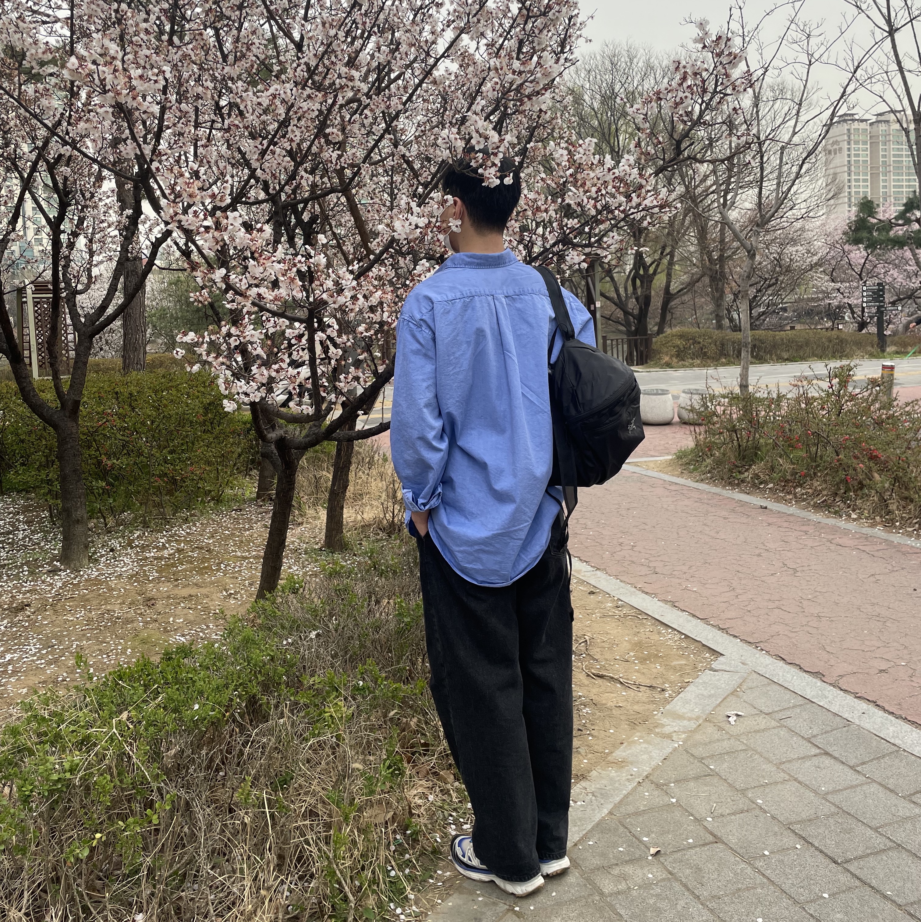 Arc'teryx Heliad 15 Backpack Black, Salomon XT-6 Skyline Bleached Sand Dazzling Blue 착용 스타일 - 2