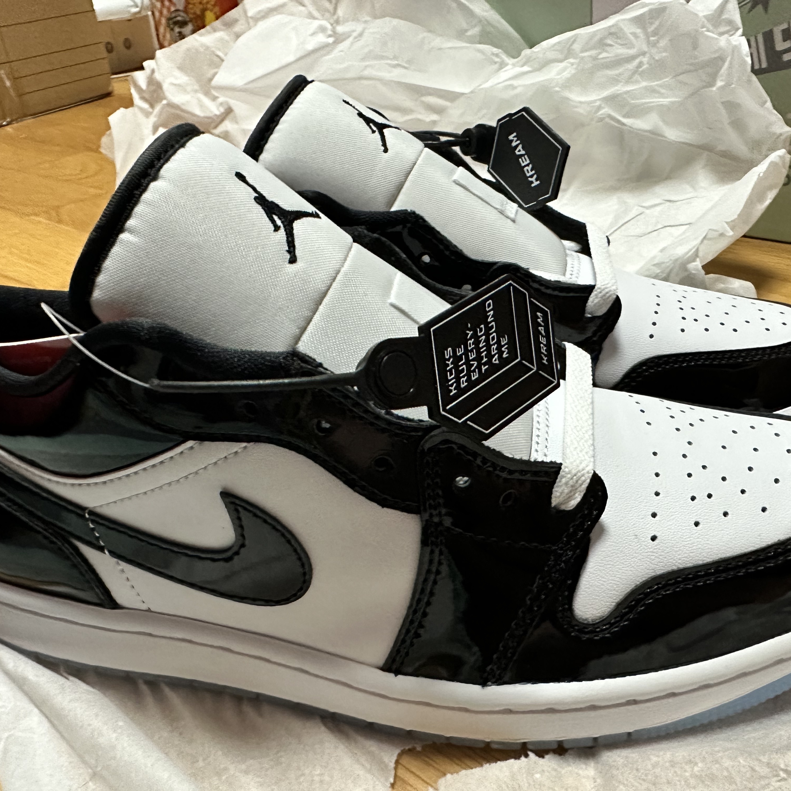 Jordan 1 Low SE Concord 착용 스타일