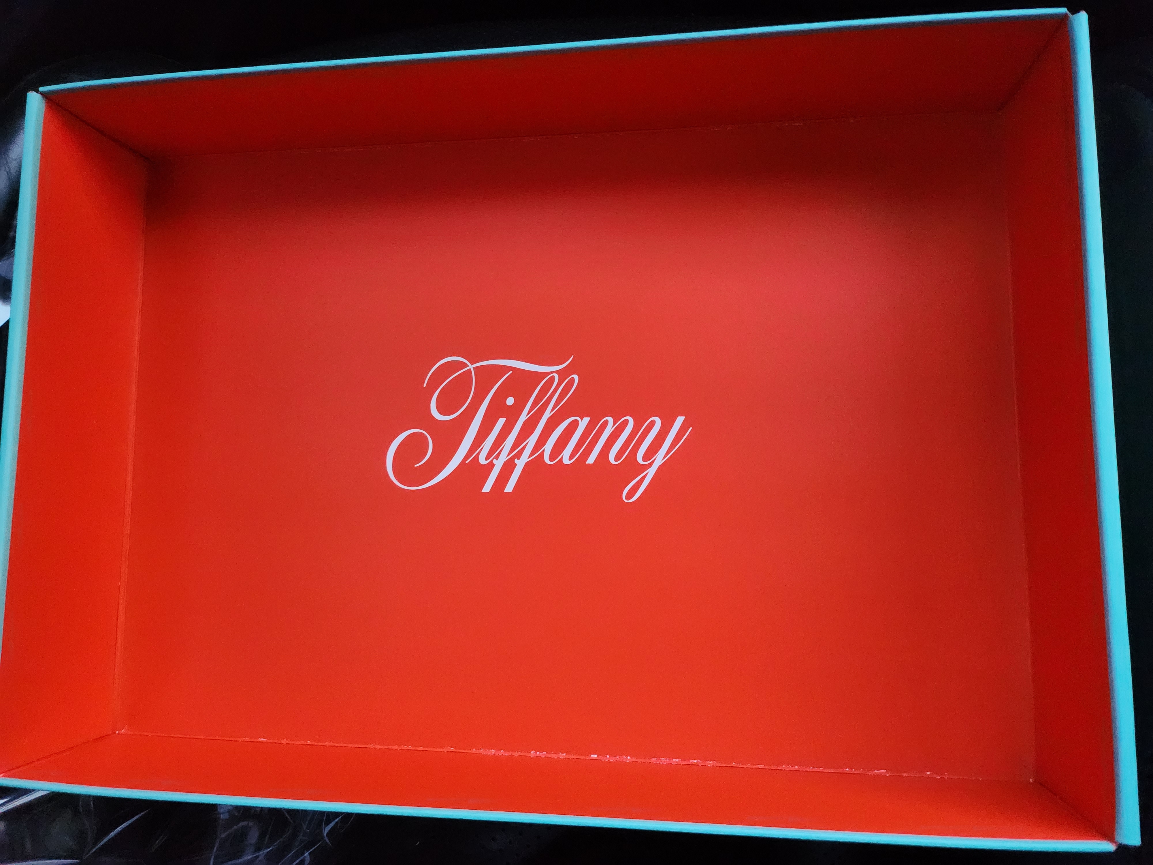 Nike x Tiffany & Co. Air Force 1 Low SP 1837 착용 스타일 - 3