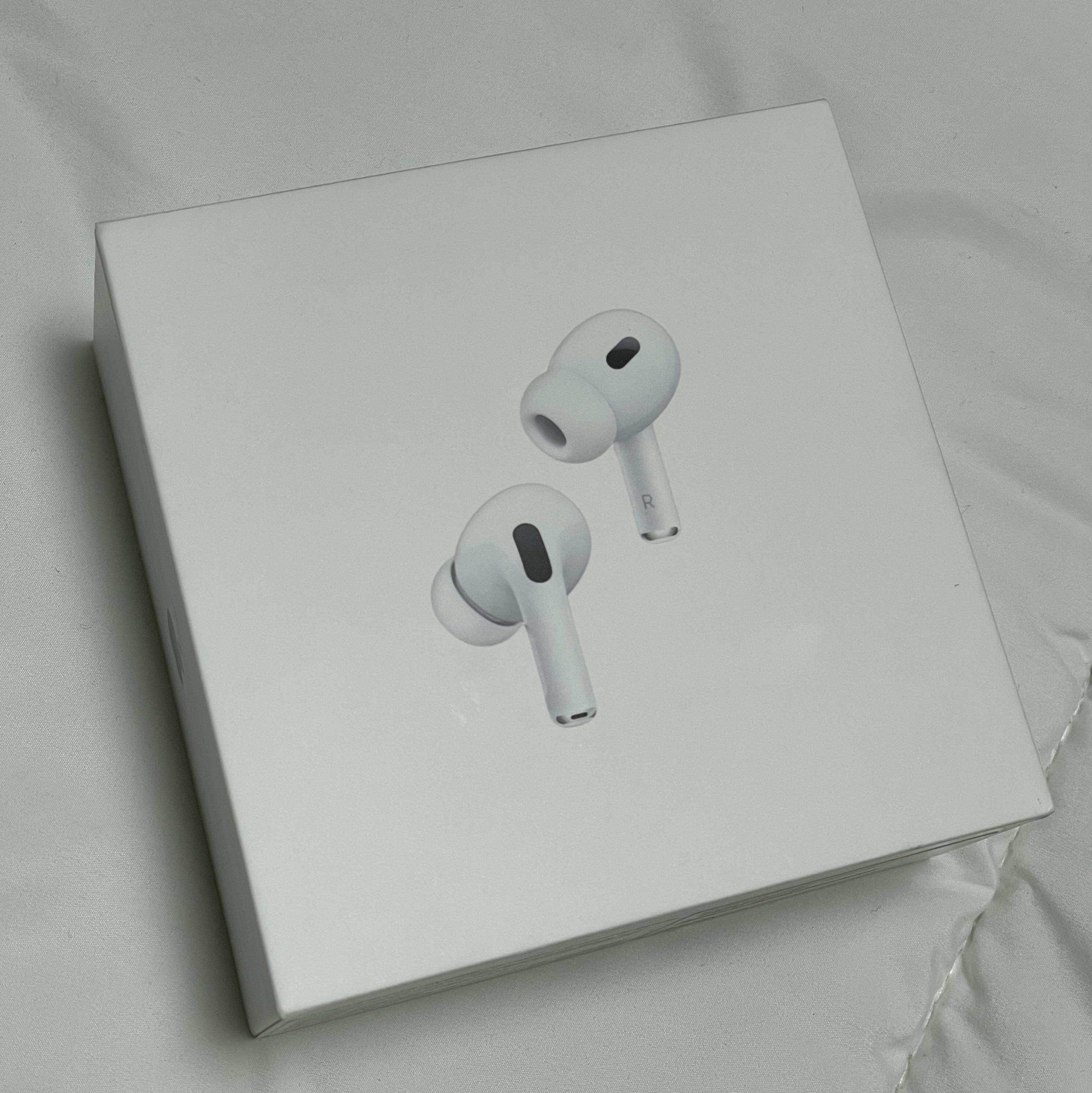 Apple AirPods Pro 2nd Gen (Korean Ver.) 착용 스타일