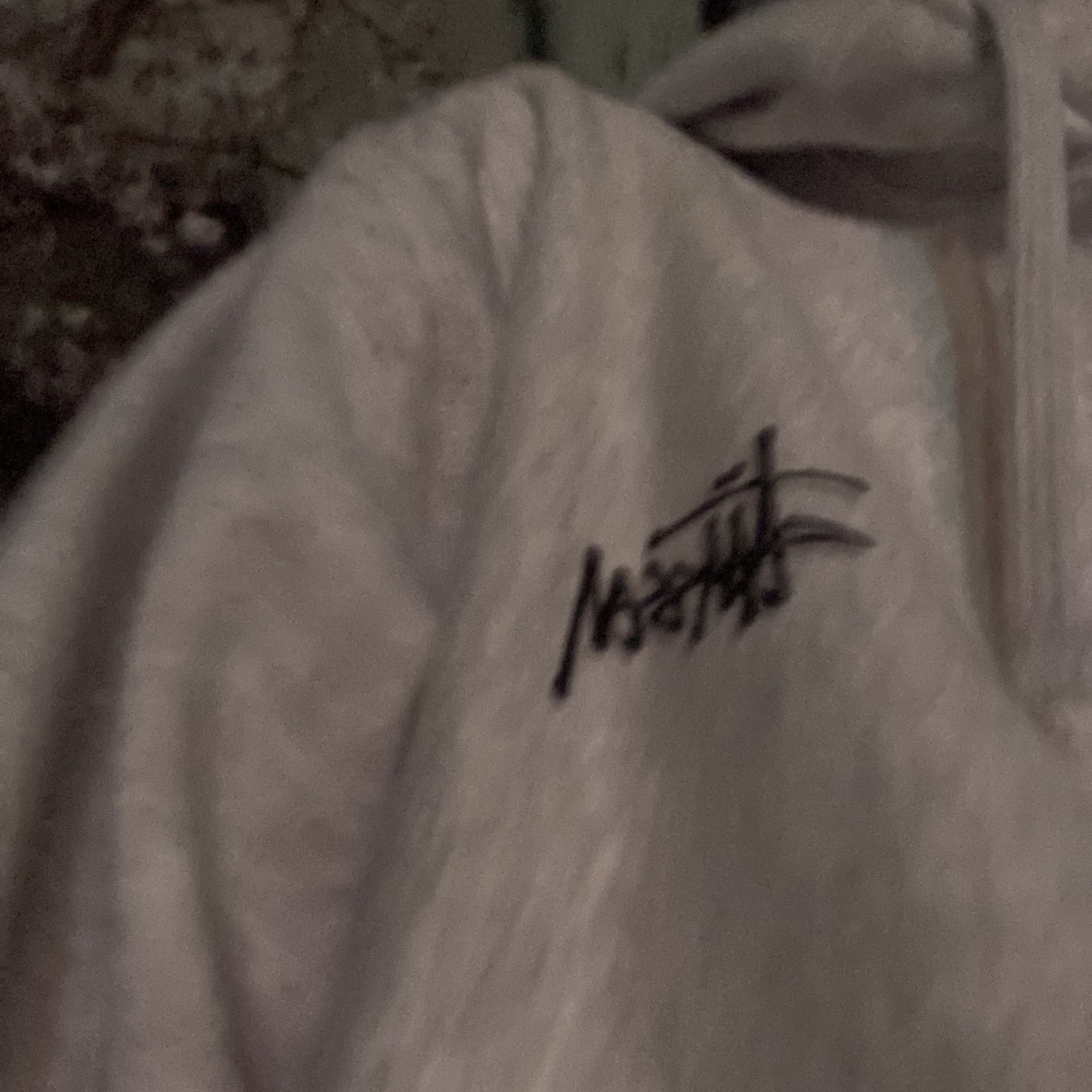 Stussy Basic Stussy Hoodie Ash Heather 2023 착용 스타일