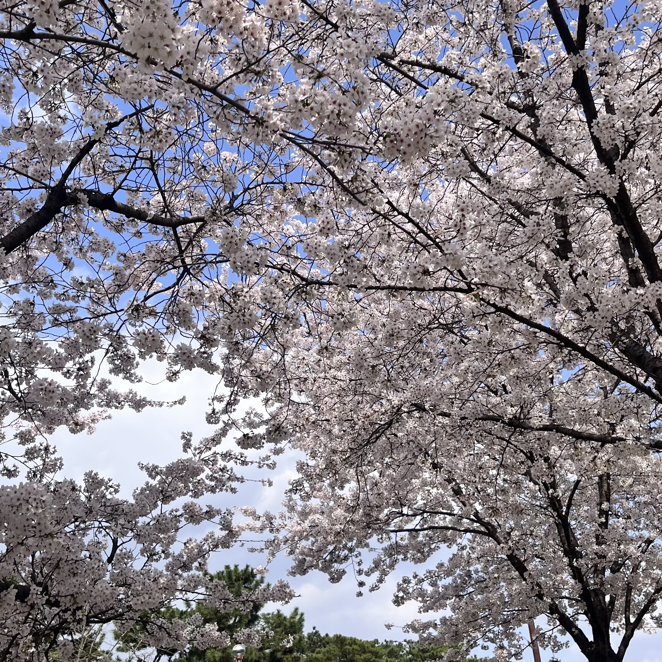 jack_roans님의 스타일 - 4