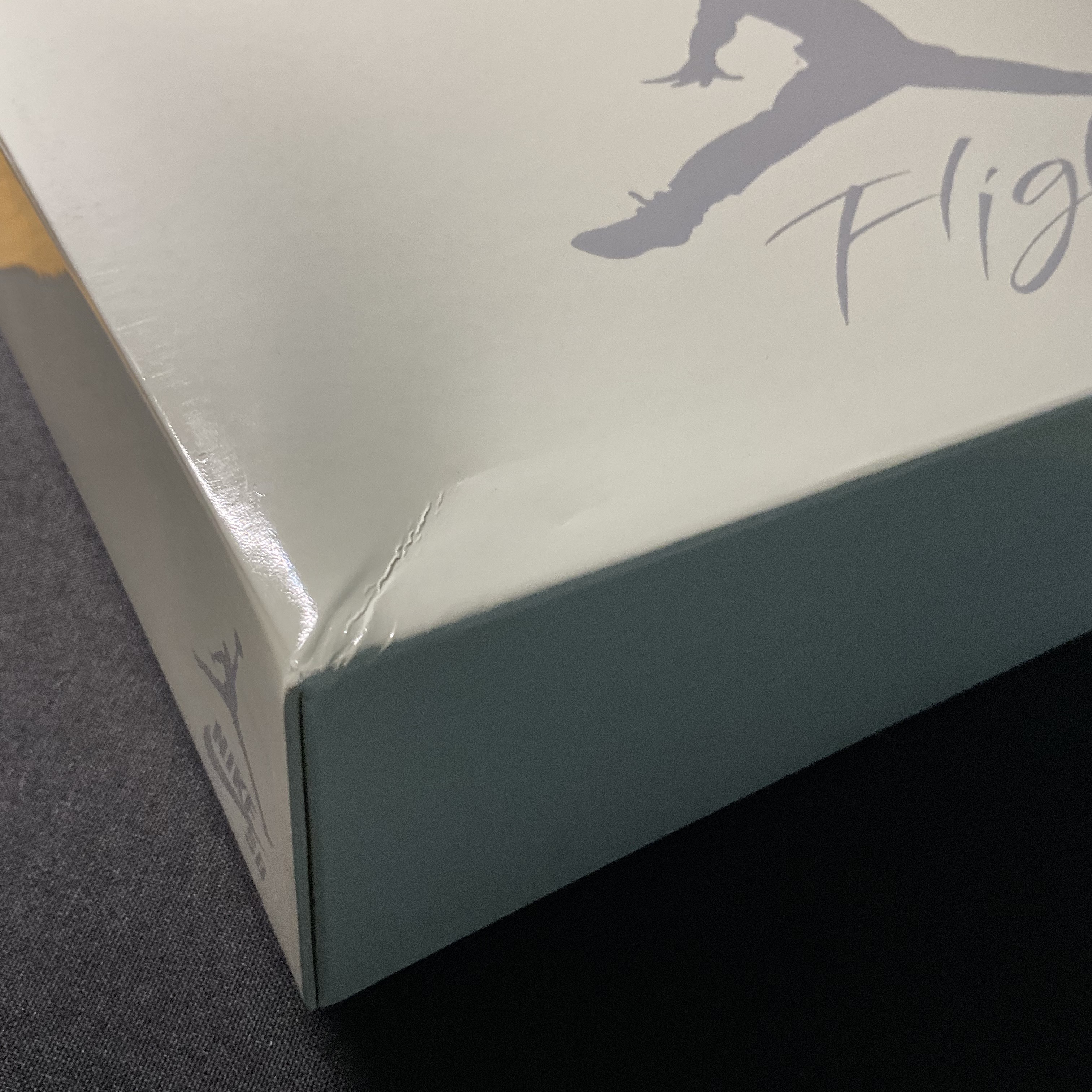 Jordan 4 x Nike SB Retro SP Pine Green 착용 스타일 - 4