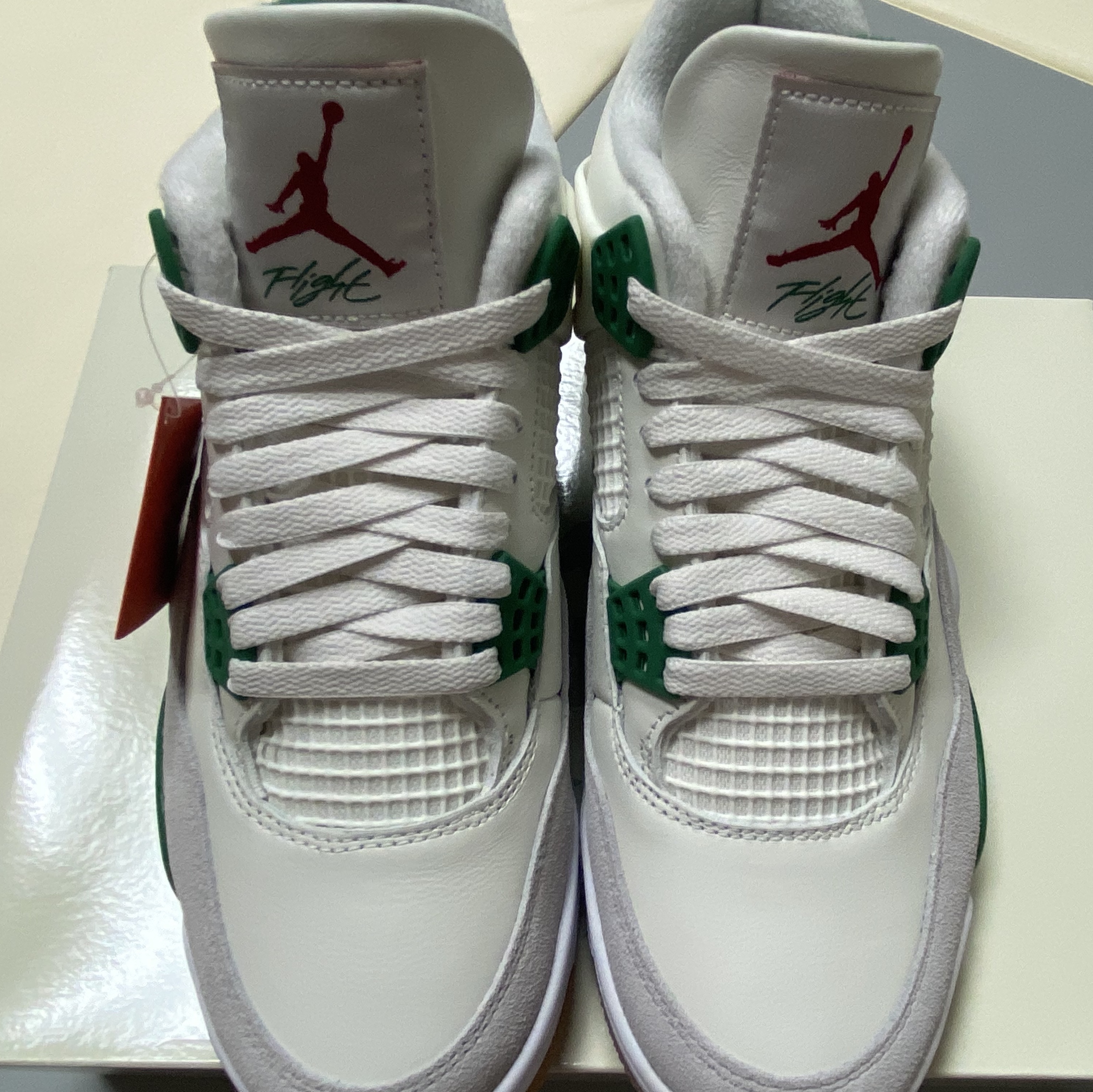 Jordan 4 x Nike SB Retro SP Pine Green 착용 스타일 - 5