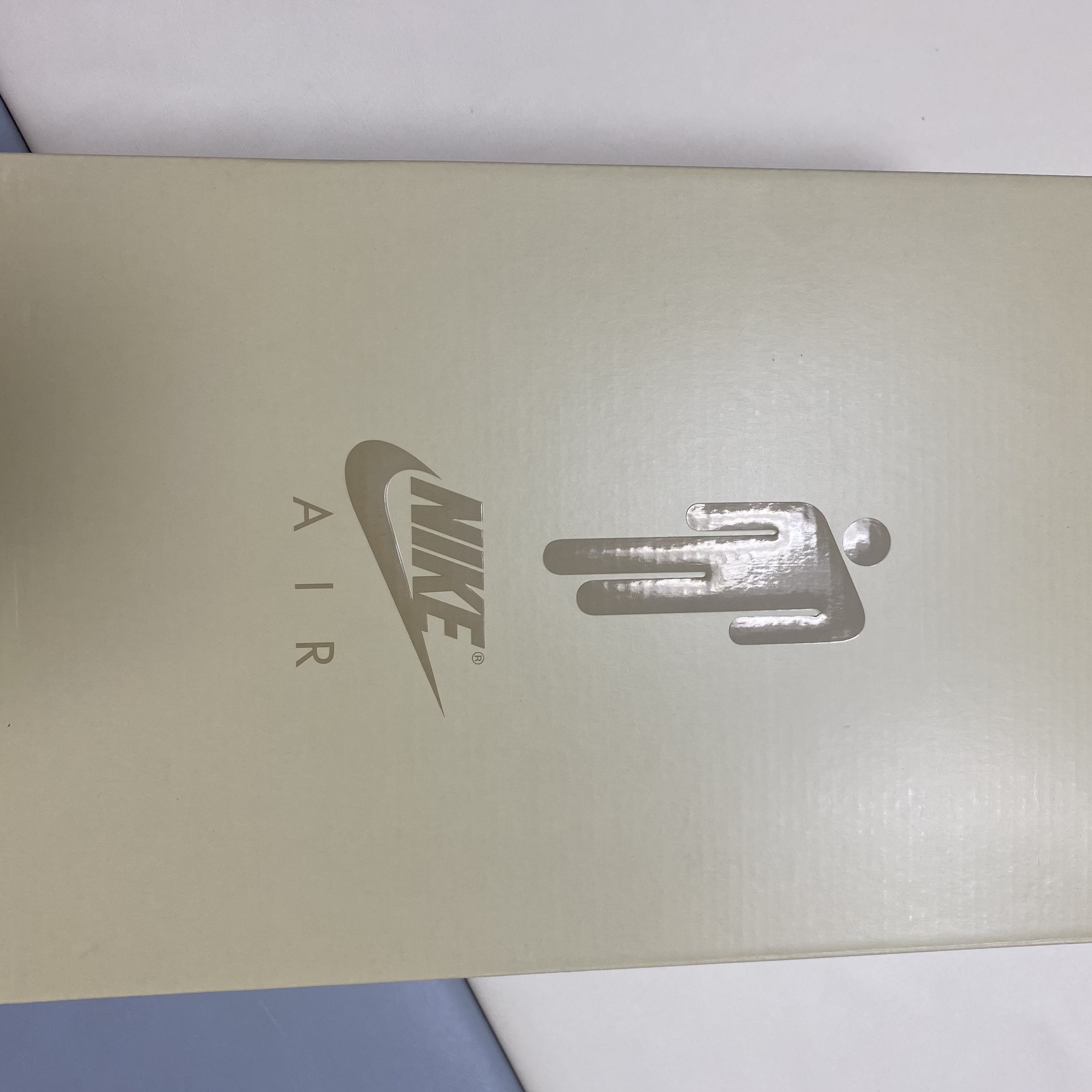 Nike x Billie Eilish Air Force 1 Low SP Triple White 착용 스타일 - 4