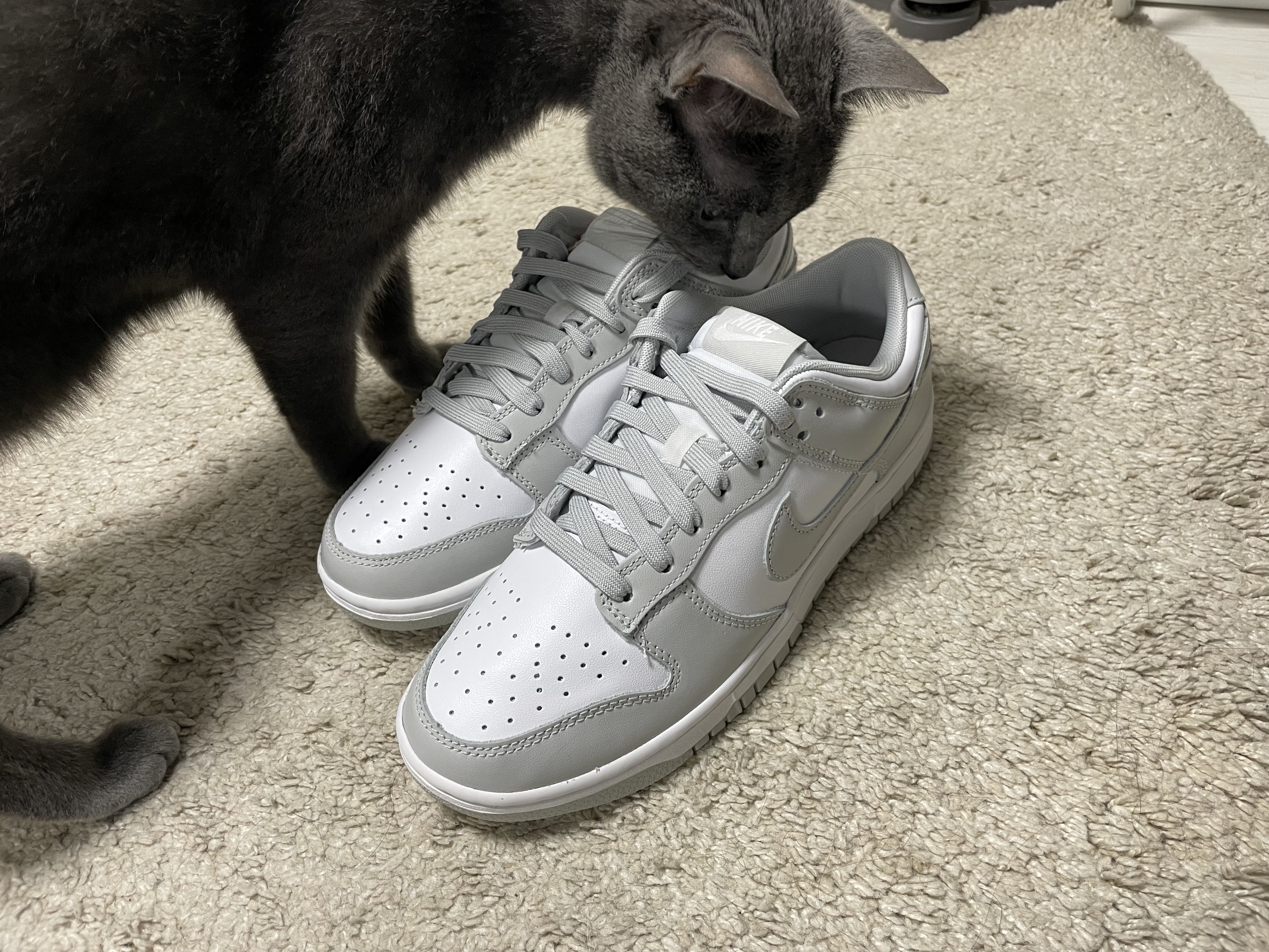 Nike Dunk Low Retro Grey Fog 착용 스타일 - 2