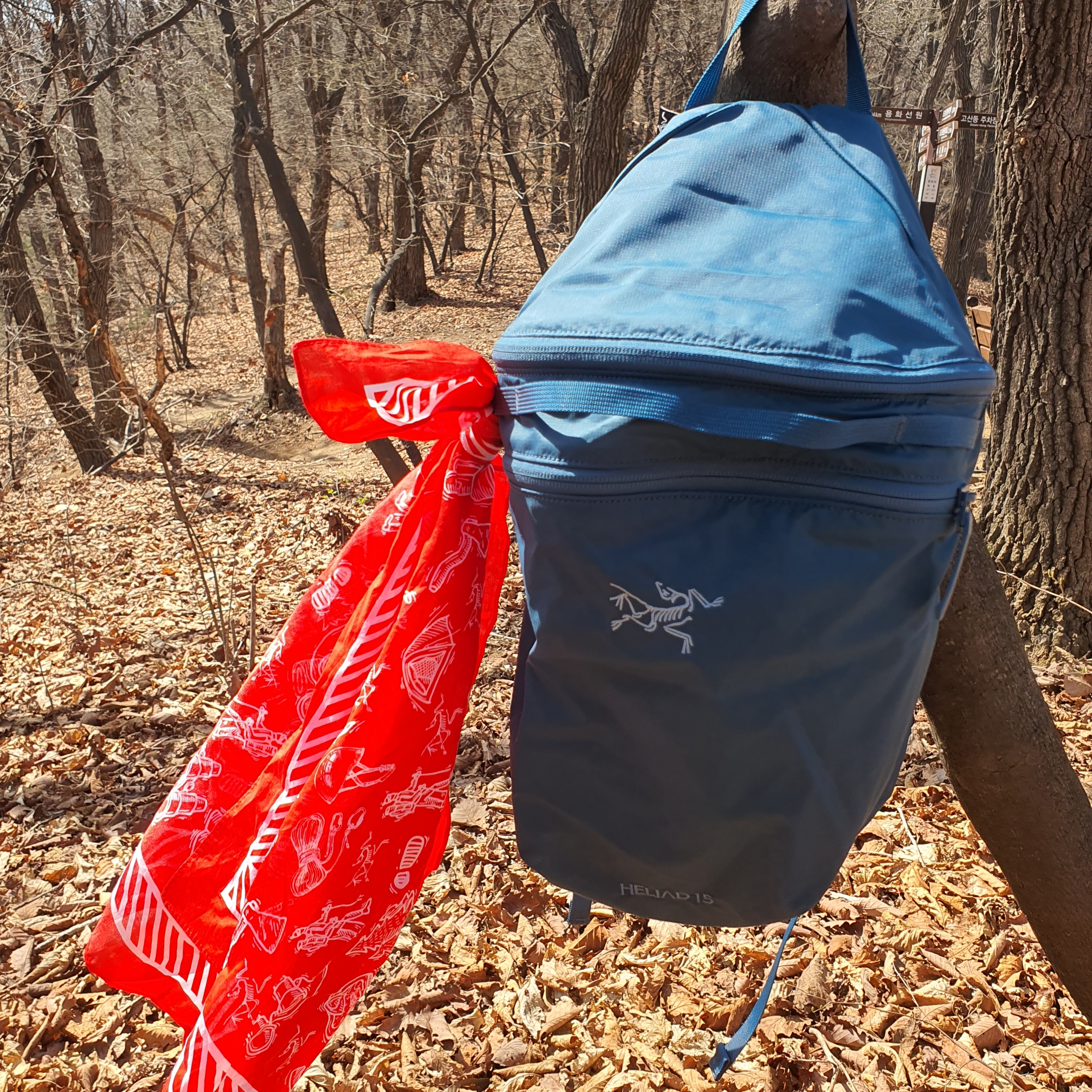 Arc'teryx Heliad 15 Backpack Serene 착용 스타일 - 2