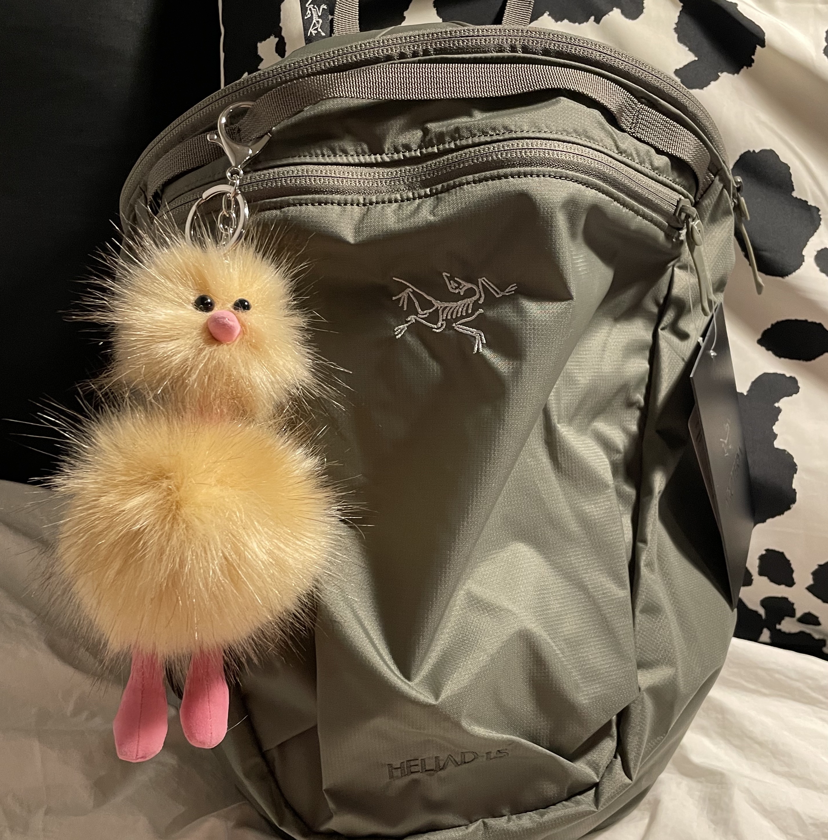 Arc'teryx Heliad 15 Backpack Forage 착용 스타일