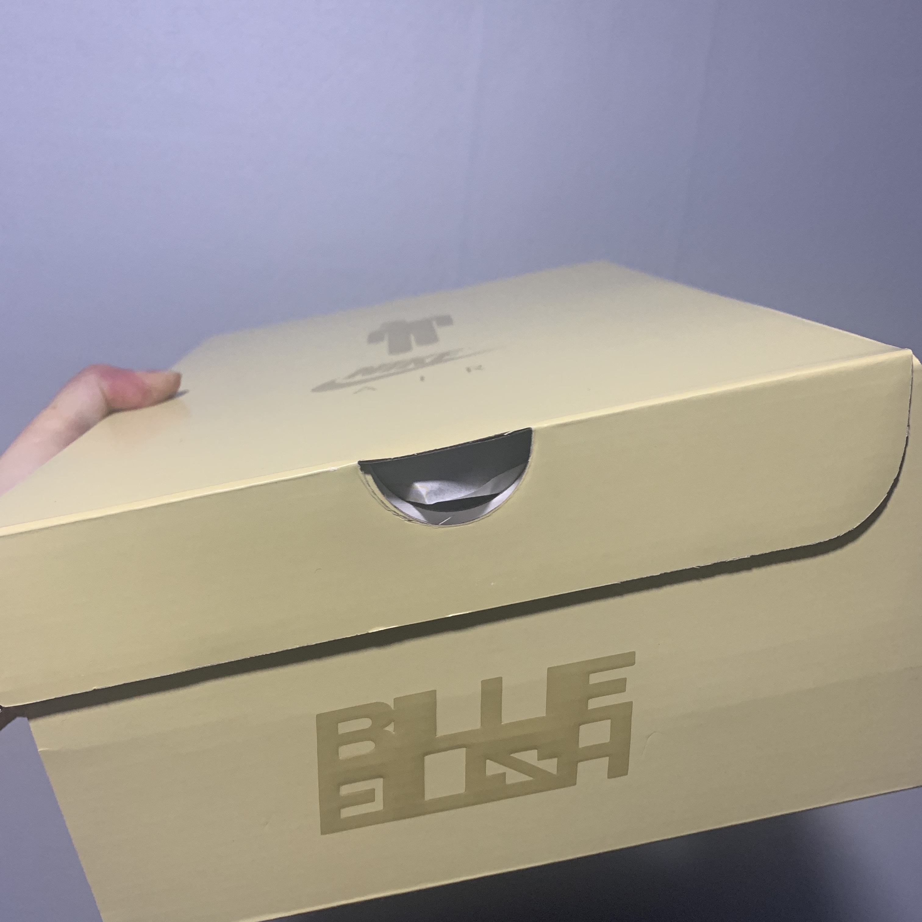 Nike x Billie Eilish Air Force 1 Low SP Triple White 착용 스타일 - 2