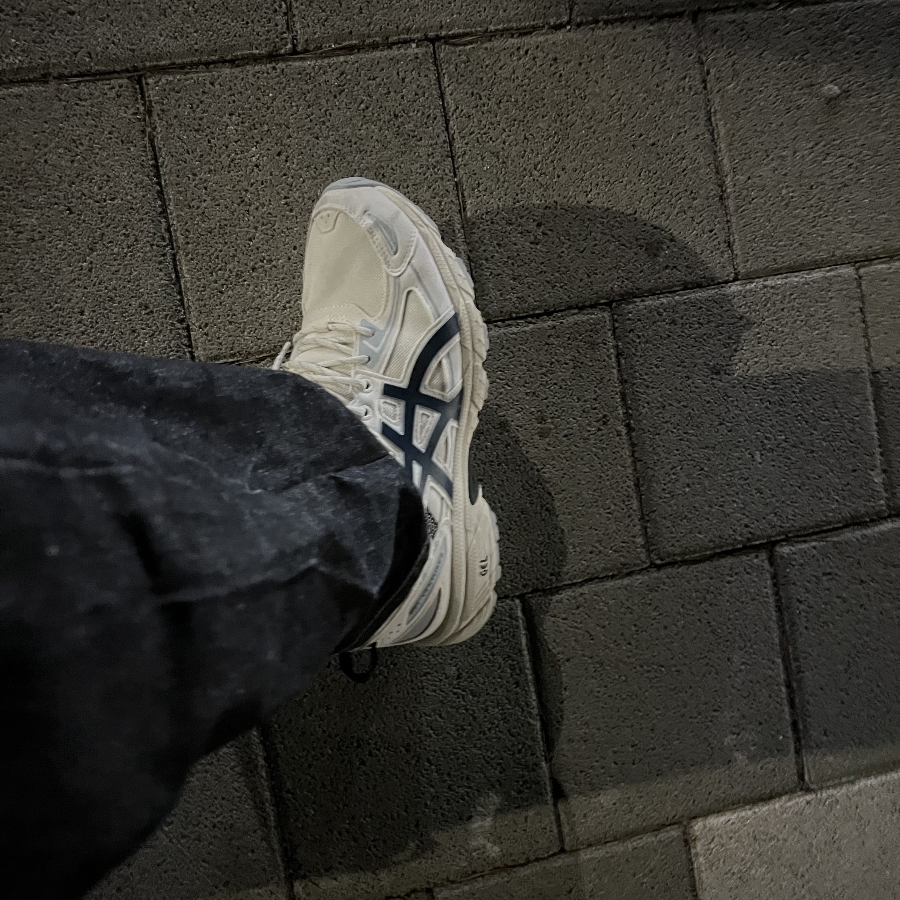 Asics Gel-Venture 6 SPS Birch French Blue 착용 스타일