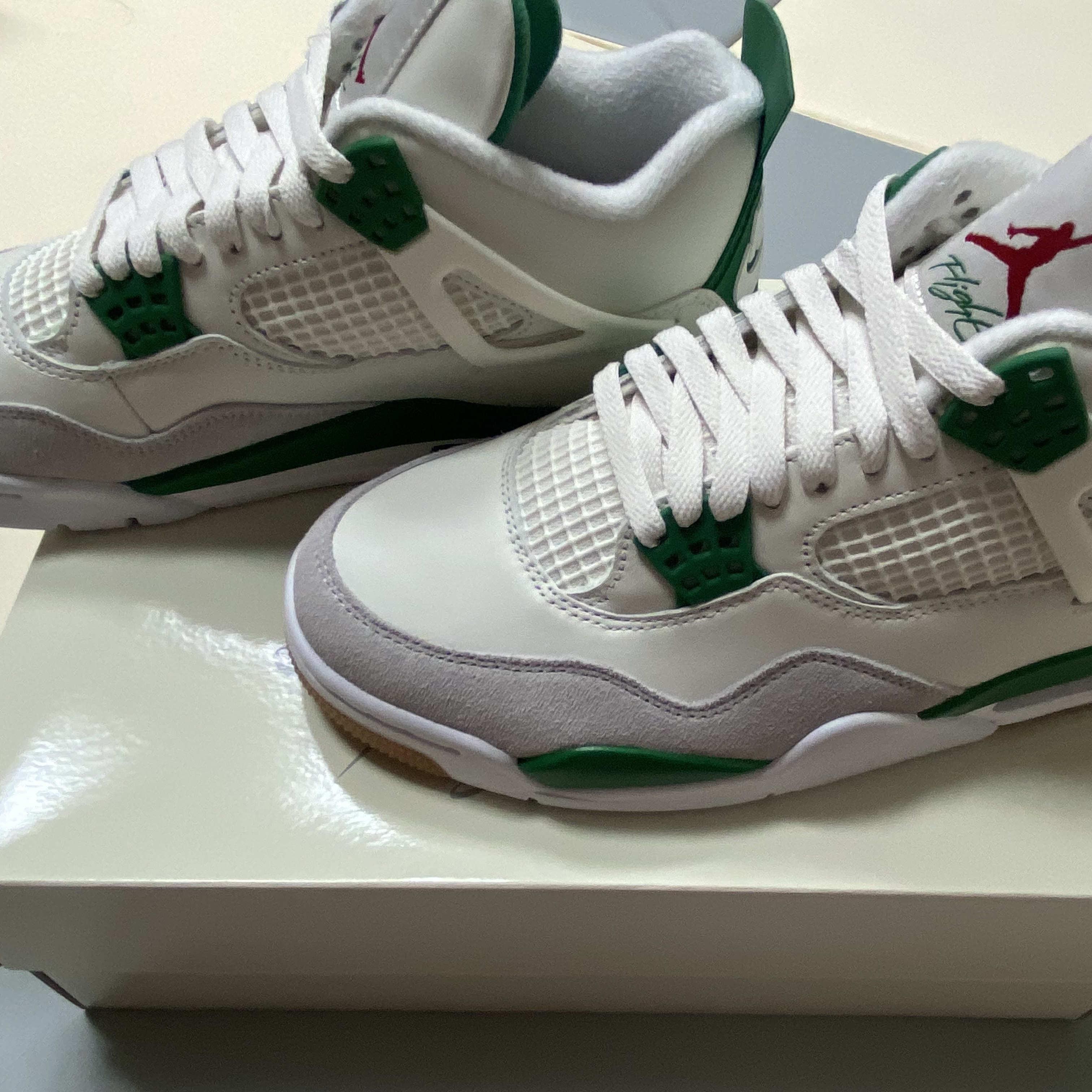 Jordan 4 x Nike SB Retro SP Pine Green 착용 스타일 - 1