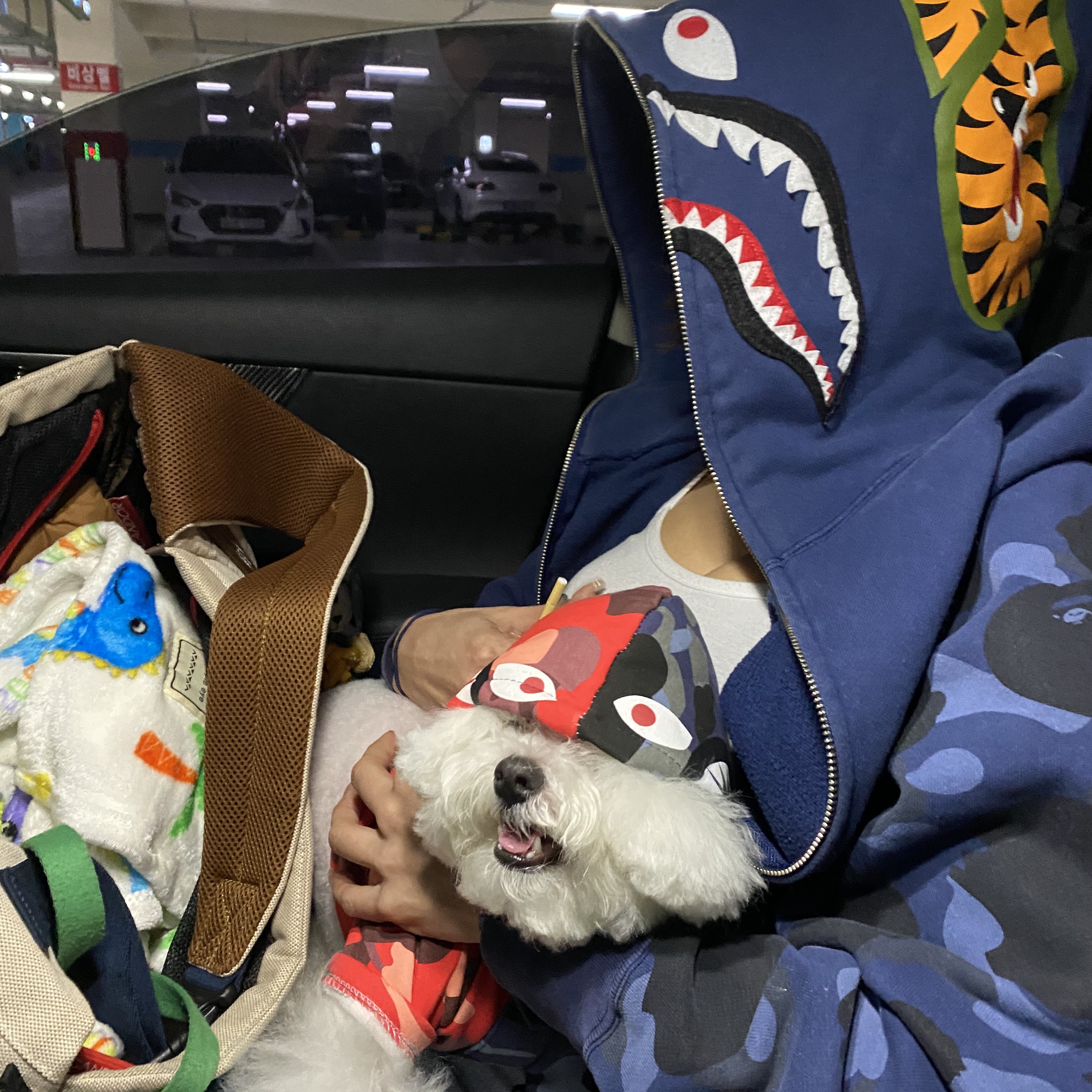 BAPE x Medicom Toy Camo Bear Shark Half Full Zip Hoodie Multi 착용 스타일 - 3