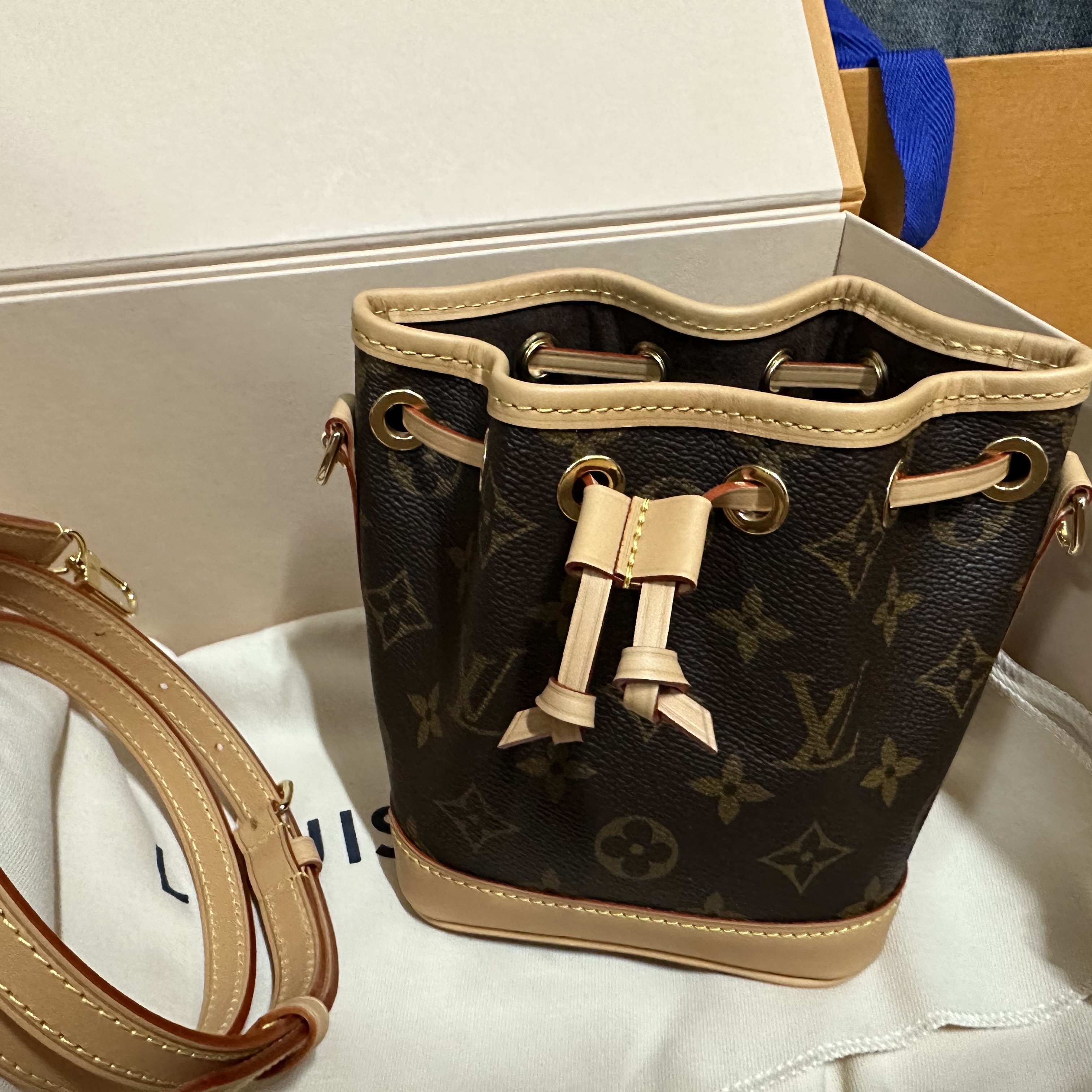 Louis Vuitton Nano Noe Monogram 착용 스타일