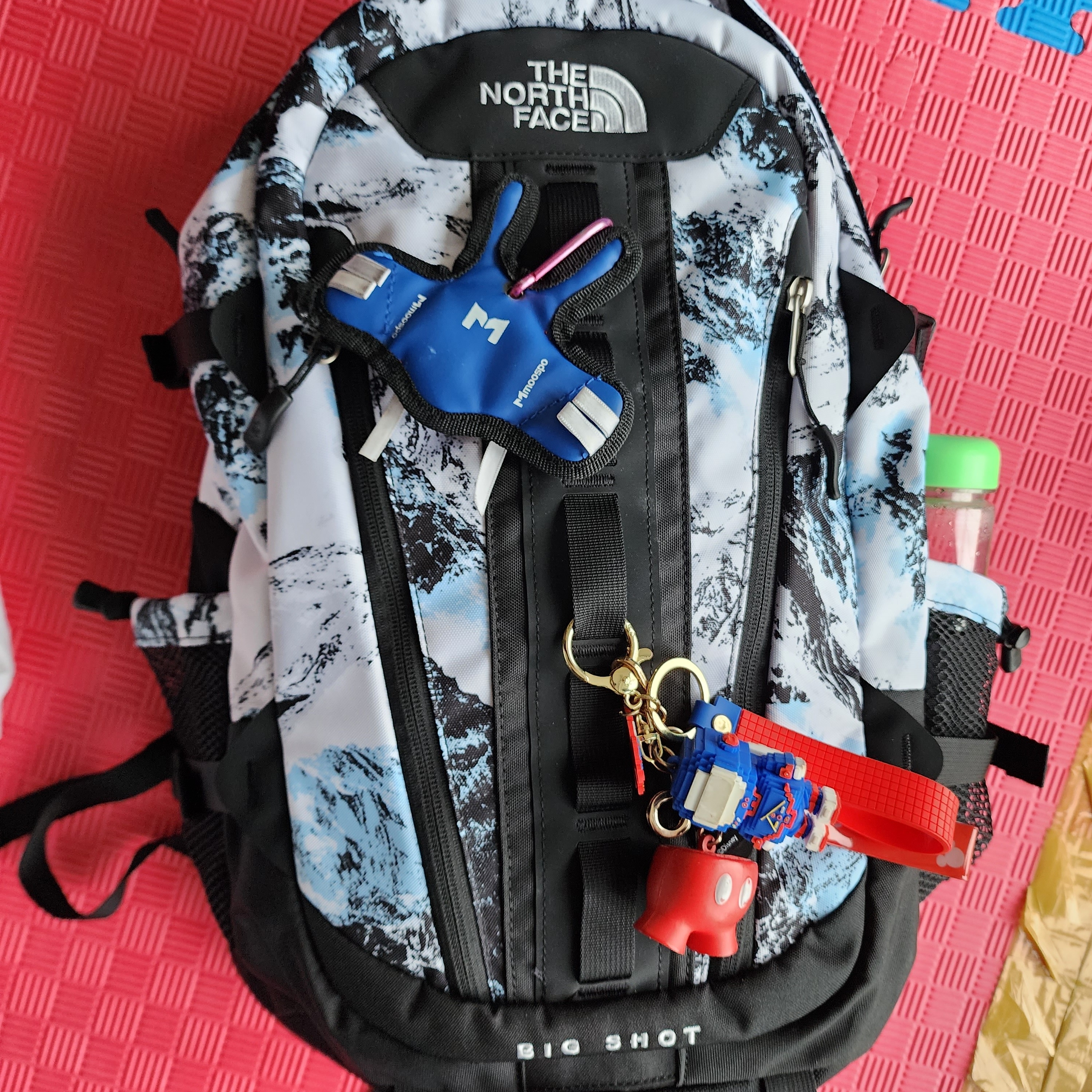 The North Face Big Shot White 착용 스타일