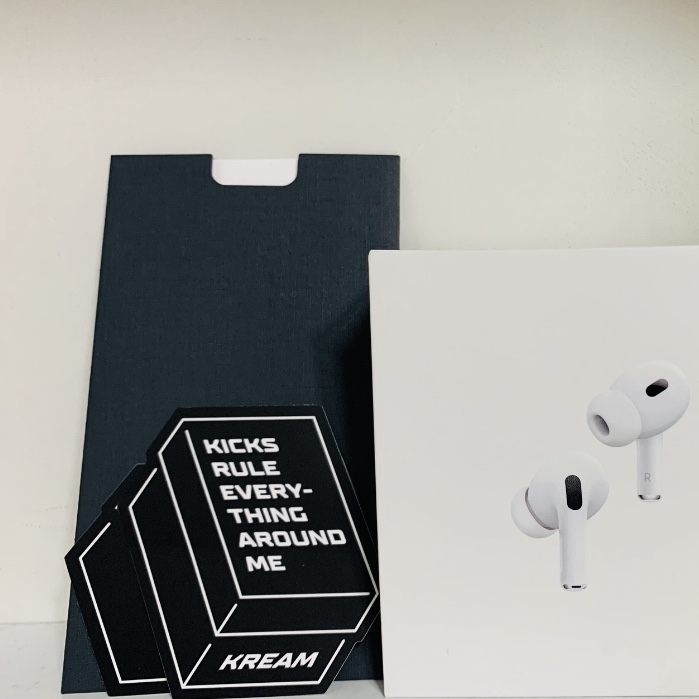 Apple AirPods Pro 2nd Gen (Korean Ver.) 착용 스타일 - 2
