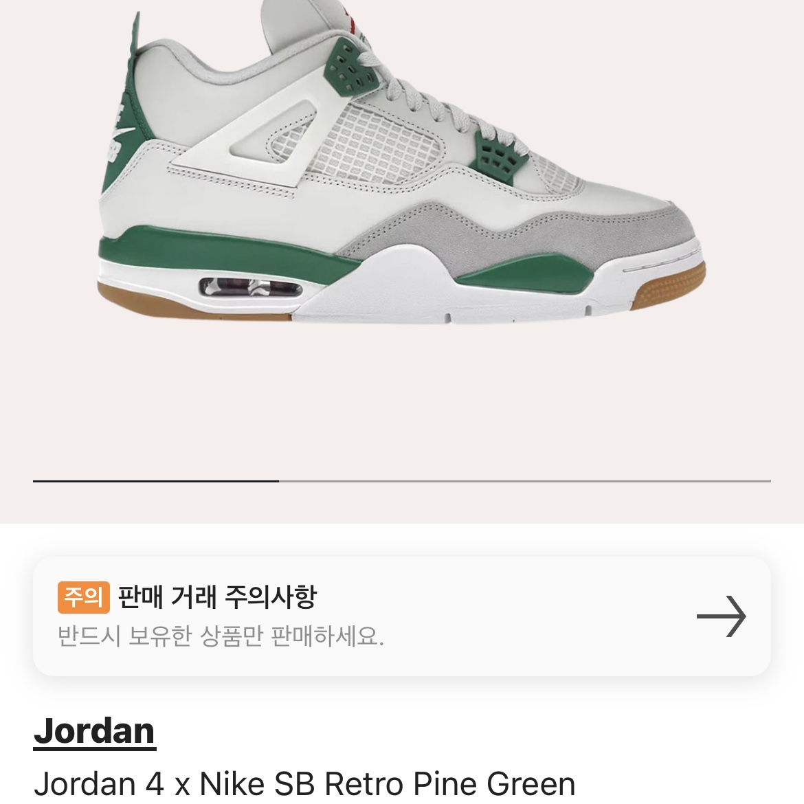 Jordan 4 x Nike SB Retro SP Pine Green 착용 스타일 - 2