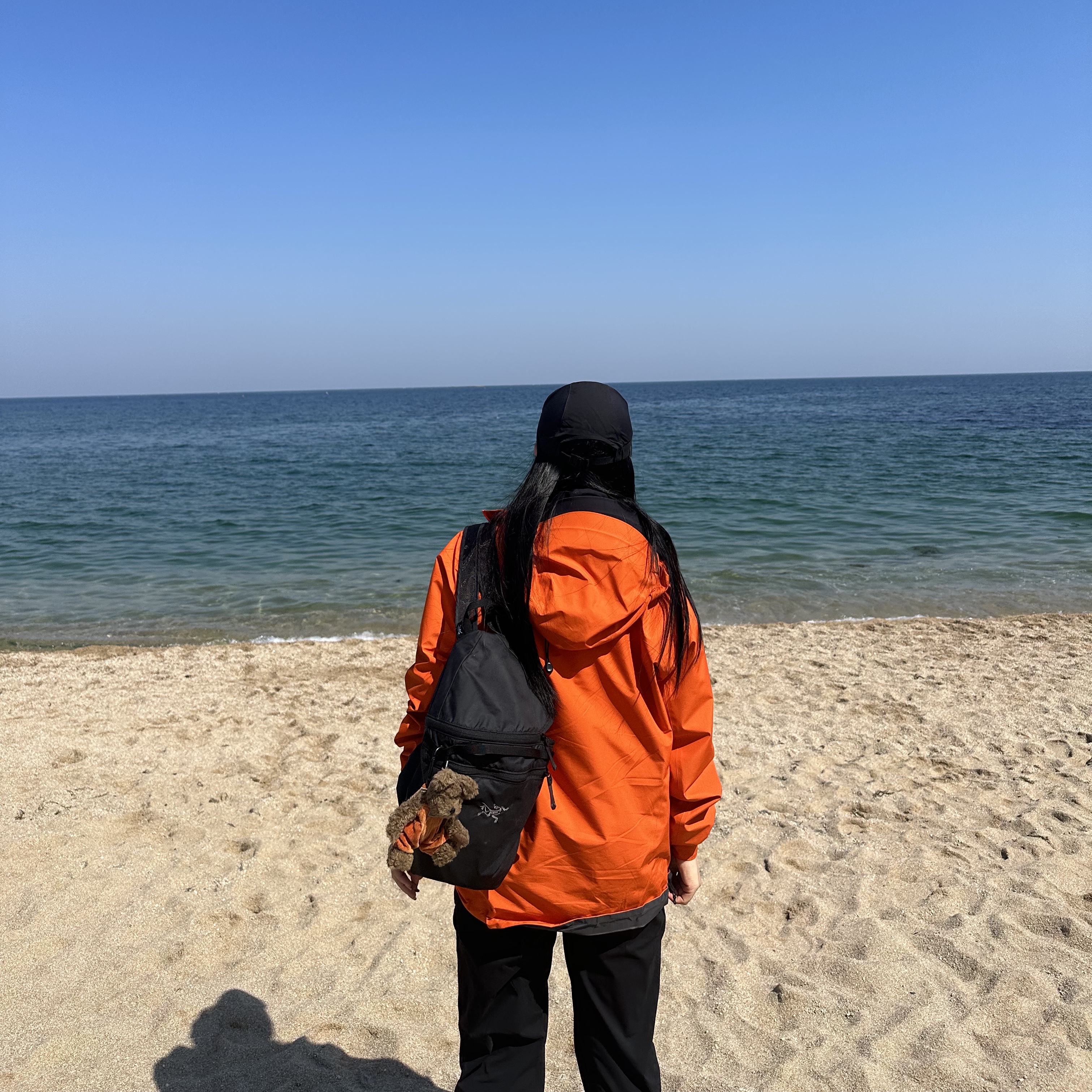 Arc'teryx Heliad 15 Backpack Black, Arc'teryx Beta LT Jacket Phenom 착용 스타일 - 2